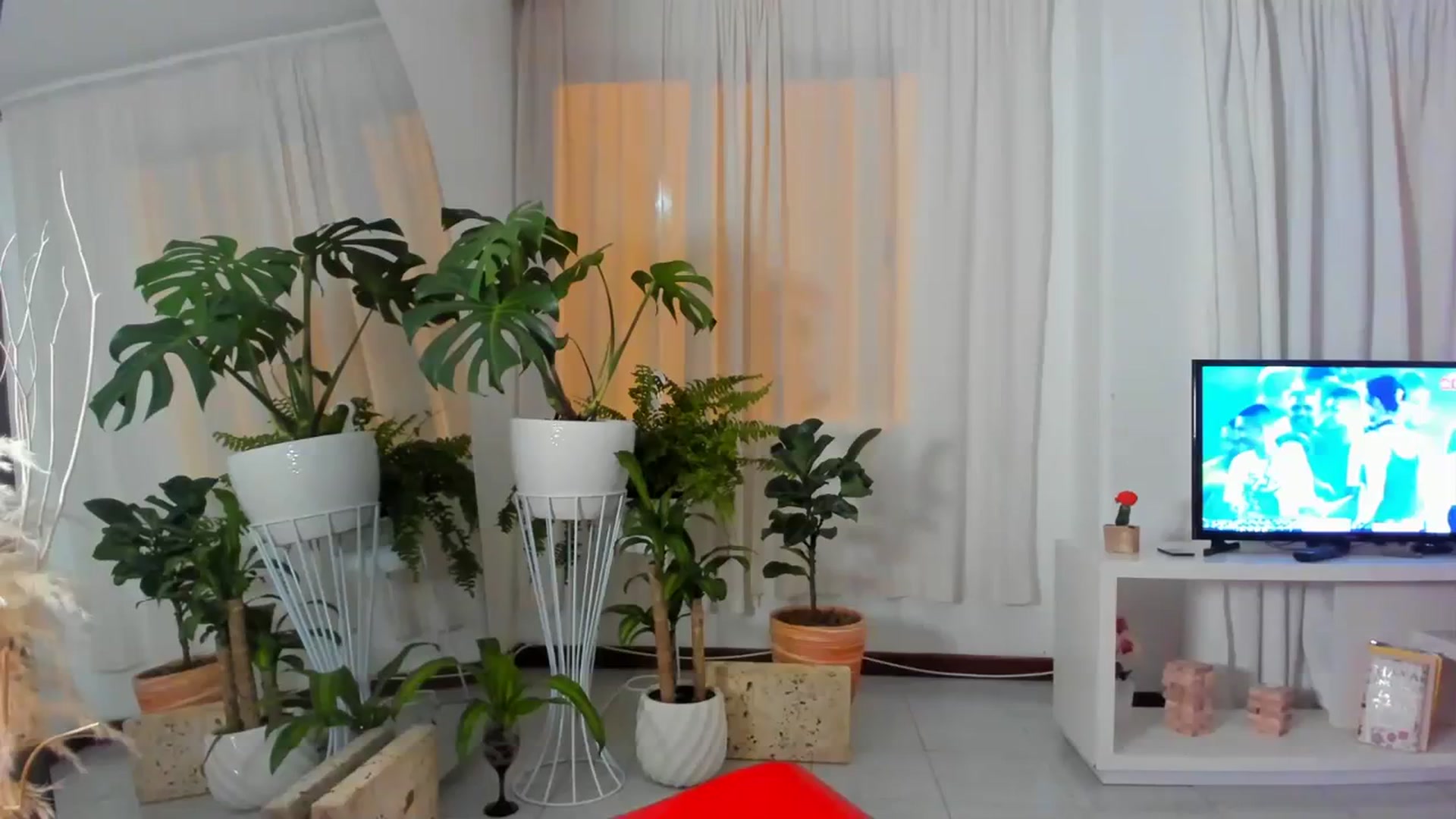Gallery image thumbnail from Nana_Belle's myfreecams stream on, 08/26/2023, 08:26 image 6 of 20