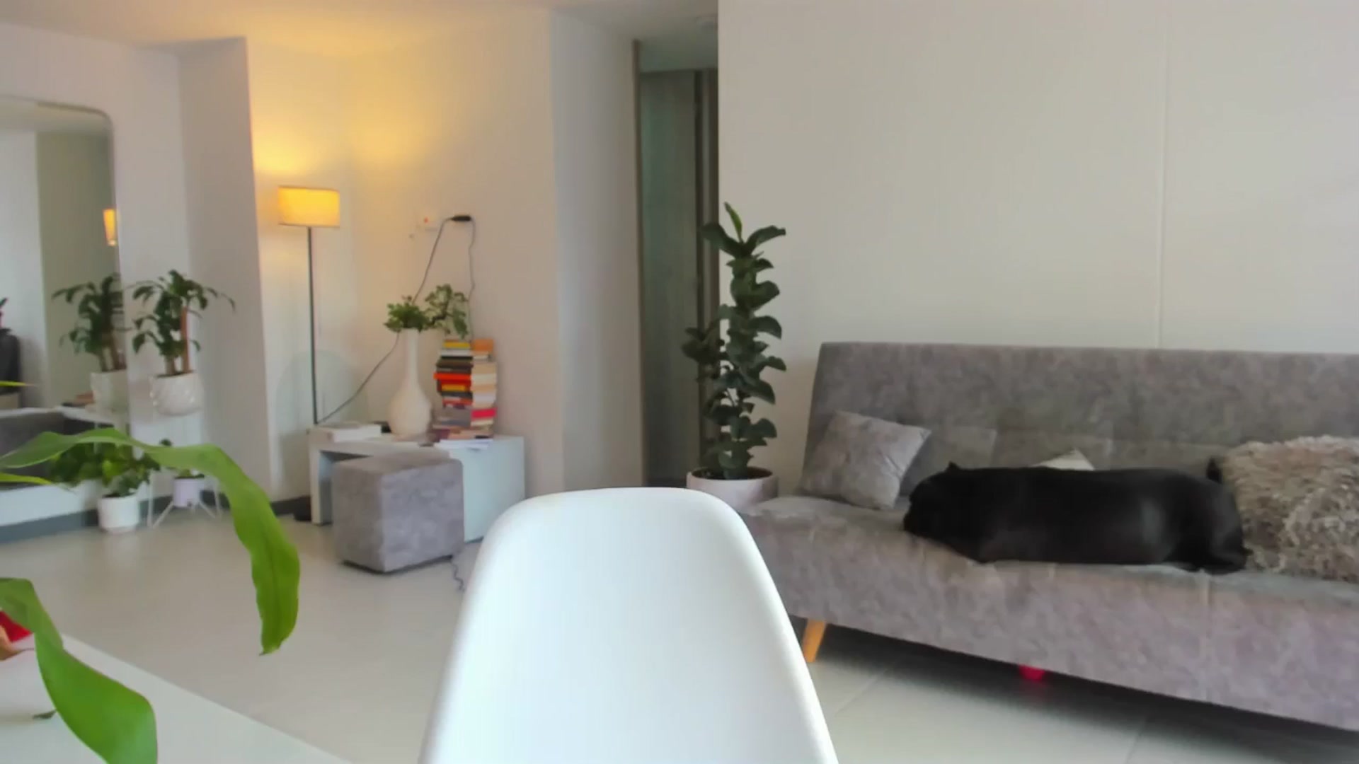 Gallery image thumbnail from Nana_Belle's myfreecams stream on, 05/08/2024, 22:17 image 1 of 20