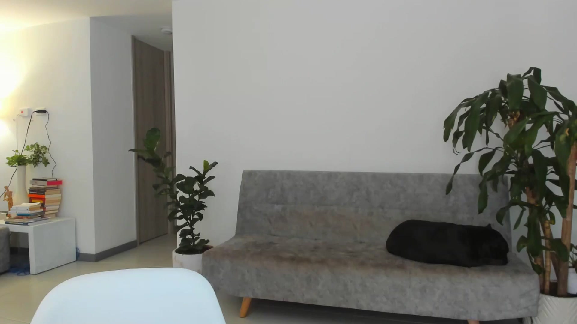 Gallery image thumbnail from Nana_Belle's myfreecams stream on, 06/07/2024, 03:44 image 2 of 20