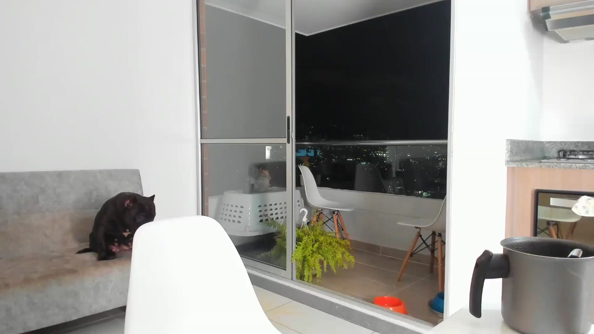 Gallery image thumbnail from Nana_Belle's myfreecams stream on, 06/13/2024, 02:27 image 15 of 20