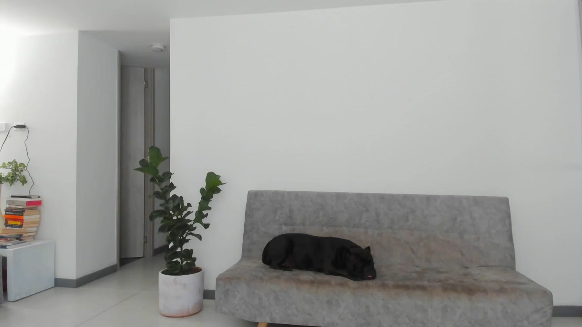 Gallery image thumbnail from Nana_Belle's myfreecams stream on, 06/15/2024, 24:41 image 5 of 20