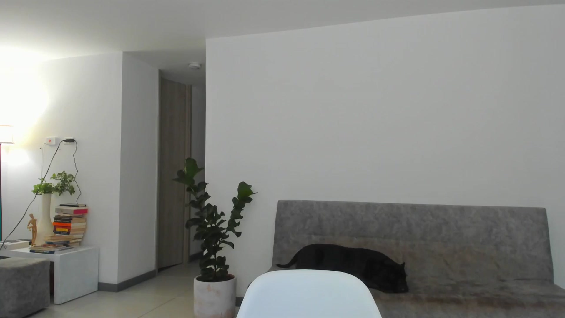Gallery image thumbnail from Nana_Belle's myfreecams stream on, 06/15/2024, 24:41 image 10 of 20
