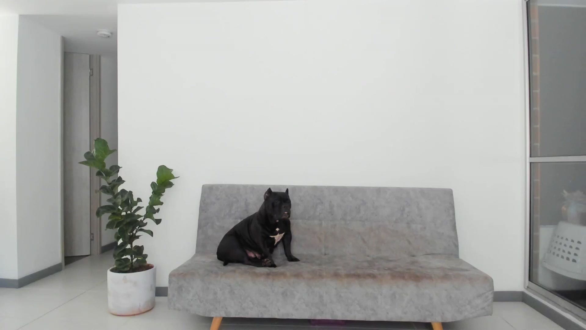 Gallery image thumbnail from Nana_Belle's myfreecams stream on, 06/15/2024, 24:41 image 4 of 20
