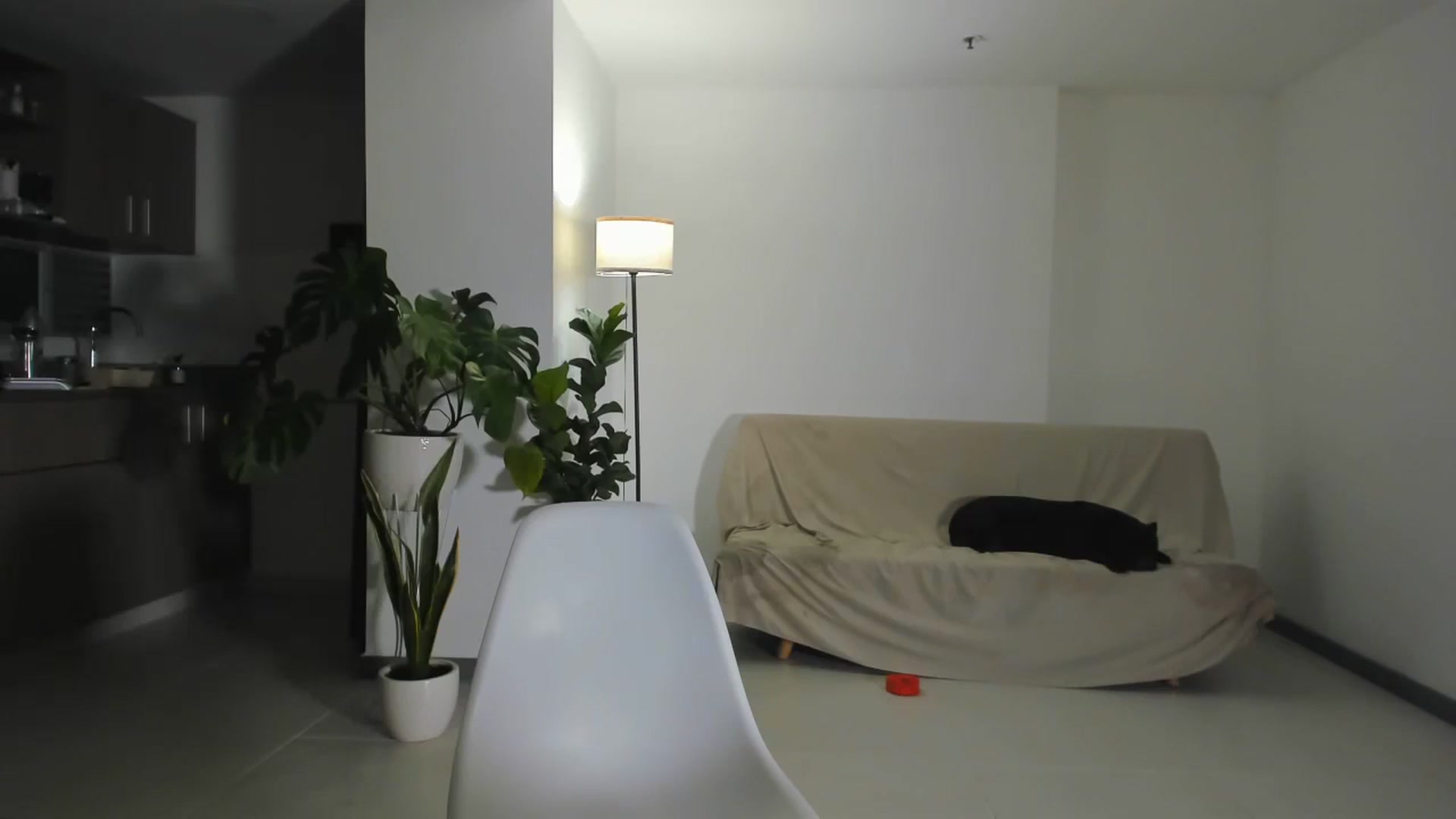 Gallery image thumbnail from Nana_Belle's myfreecams stream on, 07/08/2024, 02:32 image 19 of 20