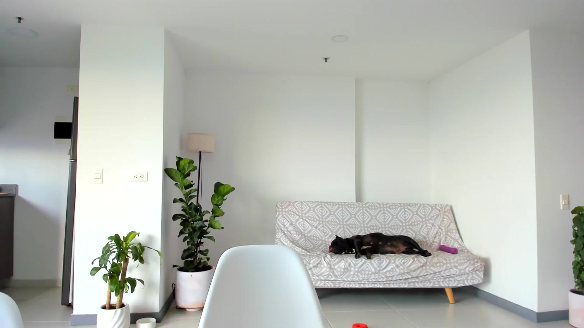 Gallery image thumbnail from Nana_Belle's myfreecams stream on, 07/28/2024, 24:19 image 1 of 20