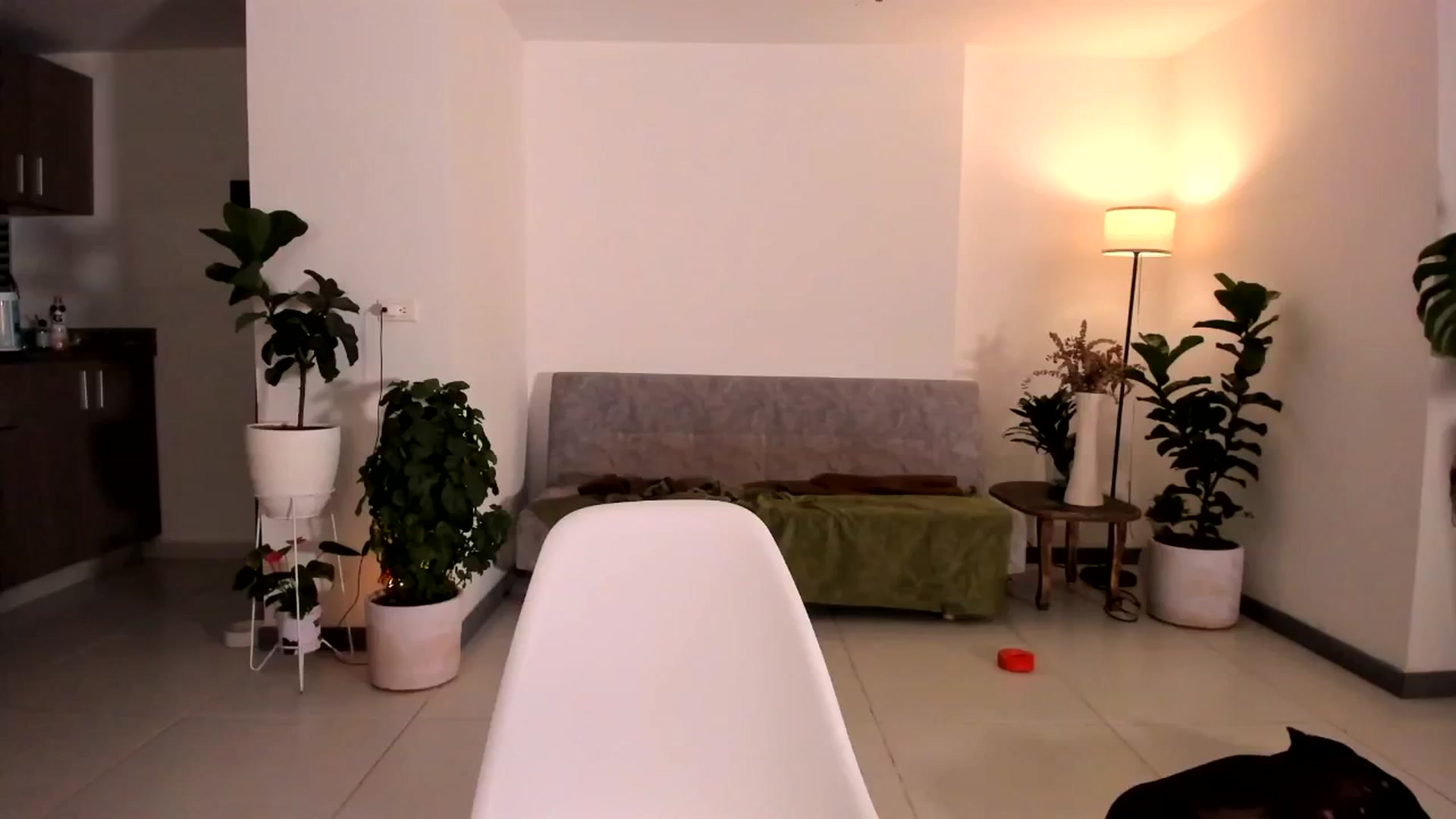 Gallery image thumbnail from Nana_Belle's myfreecams stream on, 08/14/2024, 05:50 image 5 of 20