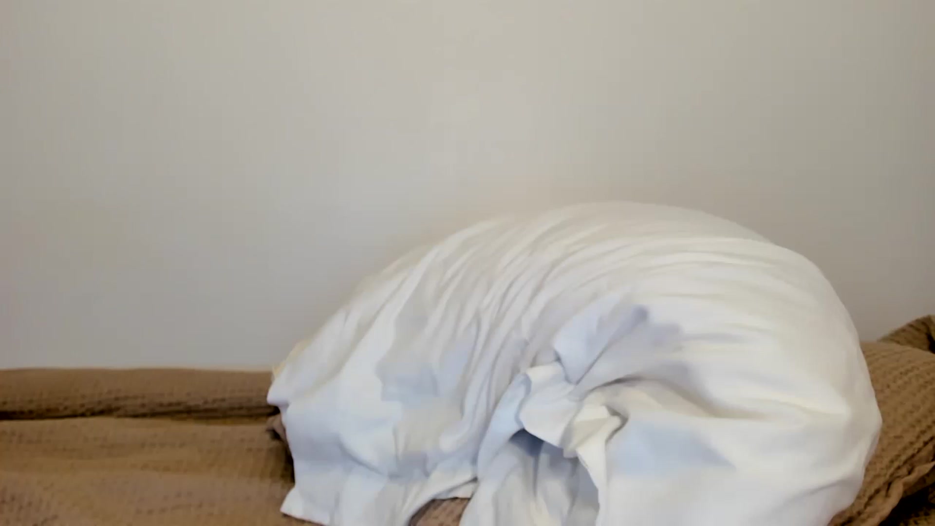 Gallery image thumbnail from Nancy_Morris's myfreecams stream on, 02/17/2023, 02:57 image 19 of 20