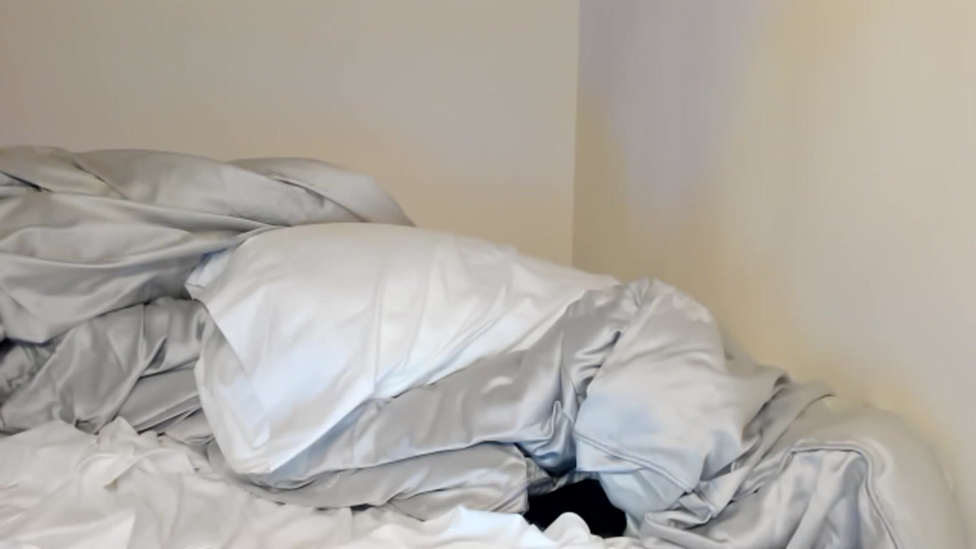 Gallery image thumbnail from Nancy_Morris's myfreecams stream on, 05/07/2023, 07:16 image 18 of 20