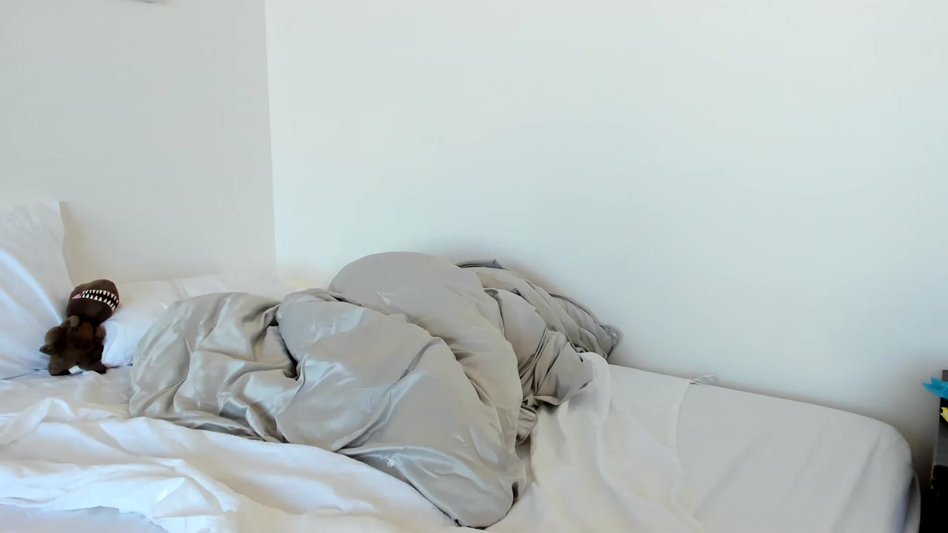 Gallery image thumbnail from Nancy_Morris's myfreecams stream on, 05/08/2023, 02:58 image 5 of 20