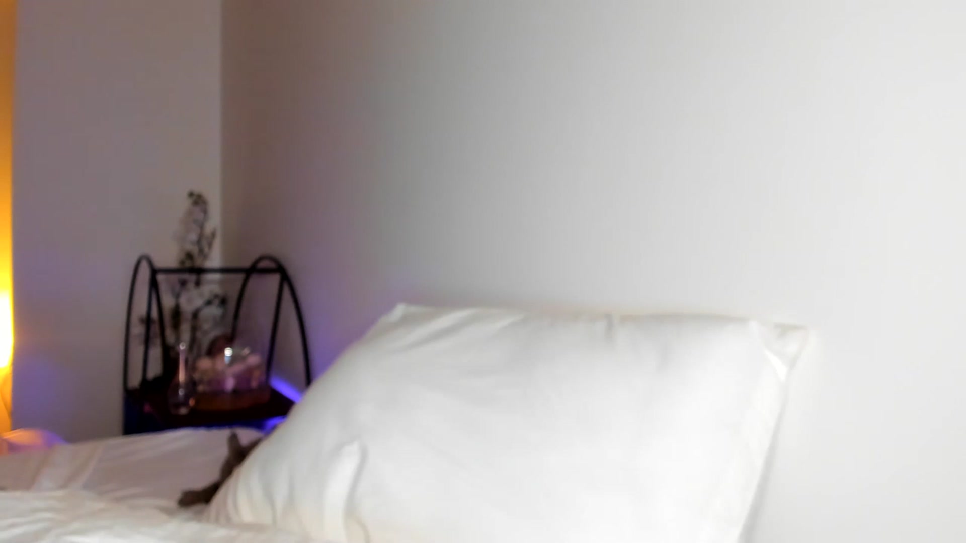 Gallery image thumbnail from Nancy_Morris's myfreecams stream on, 05/13/2023, 04:35 image 20 of 20