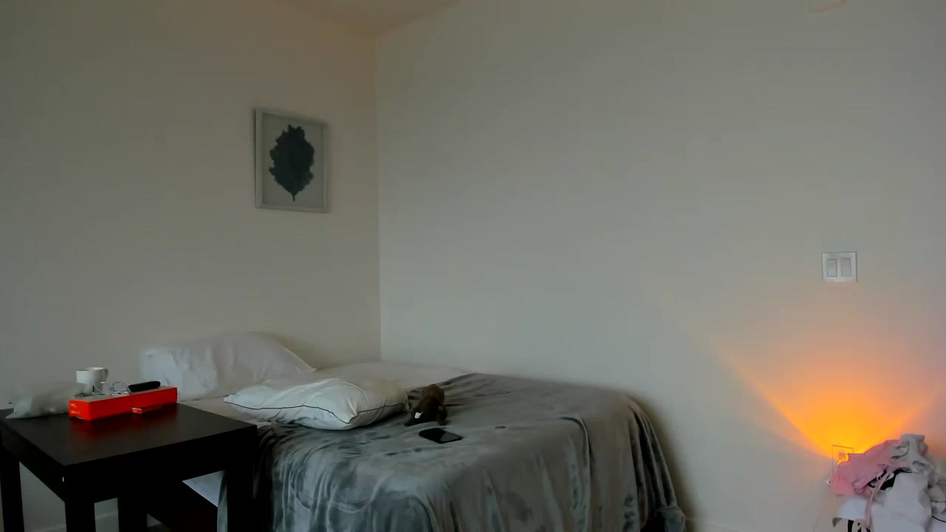 Gallery image thumbnail from Nancy_Morris's myfreecams stream on, 05/29/2023, 02:57 image 2 of 20