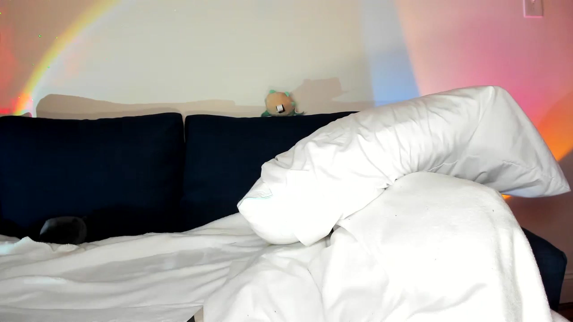 Gallery image thumbnail from Nancy_Morris's myfreecams stream on, 11/01/2024, 06:43 image 11 of 20