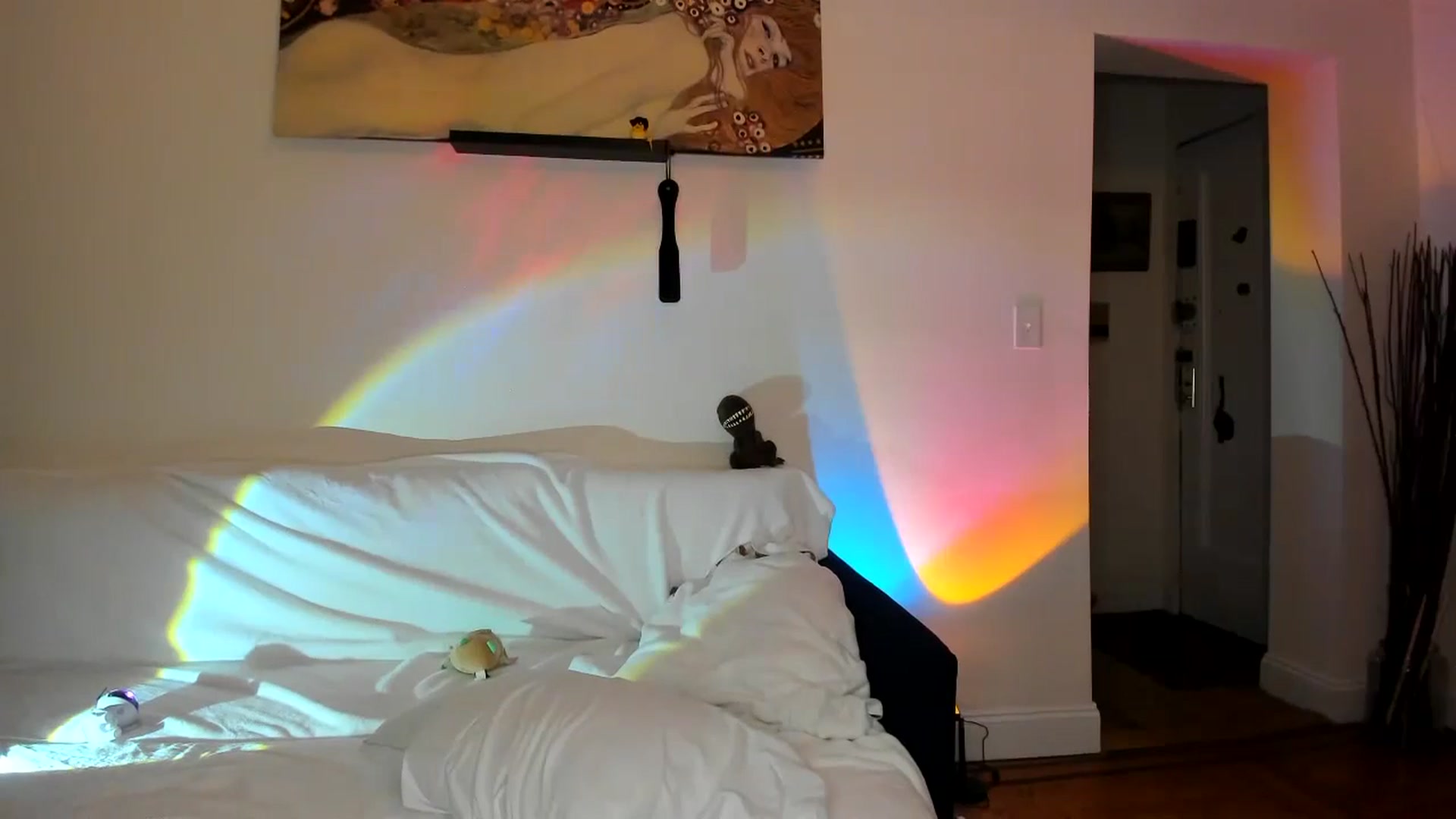 Gallery image thumbnail from Nancy_Morris's myfreecams stream on, 11/01/2024, 07:11 image 15 of 20