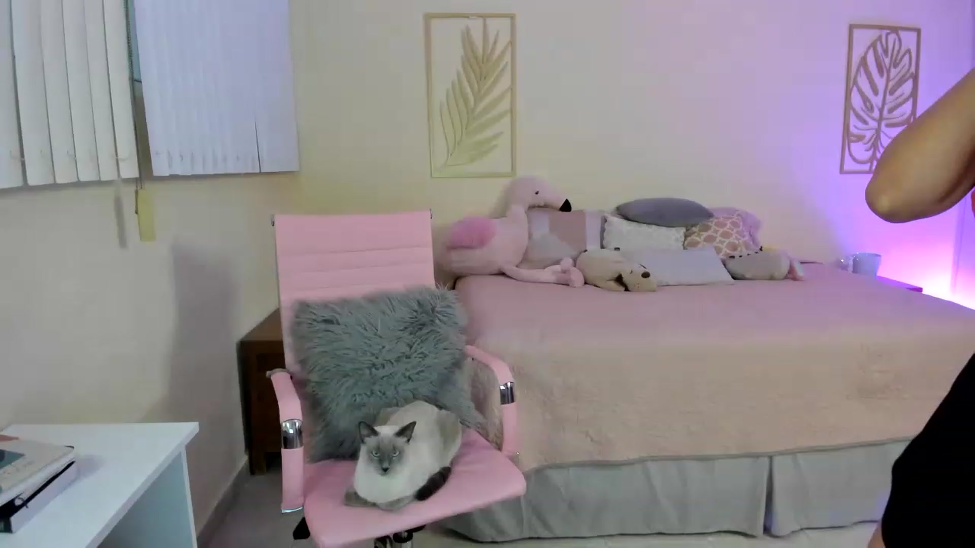 Gallery image thumbnail from NancyyB's myfreecams stream on, 12/09/2022, 23:44 image 17 of 20