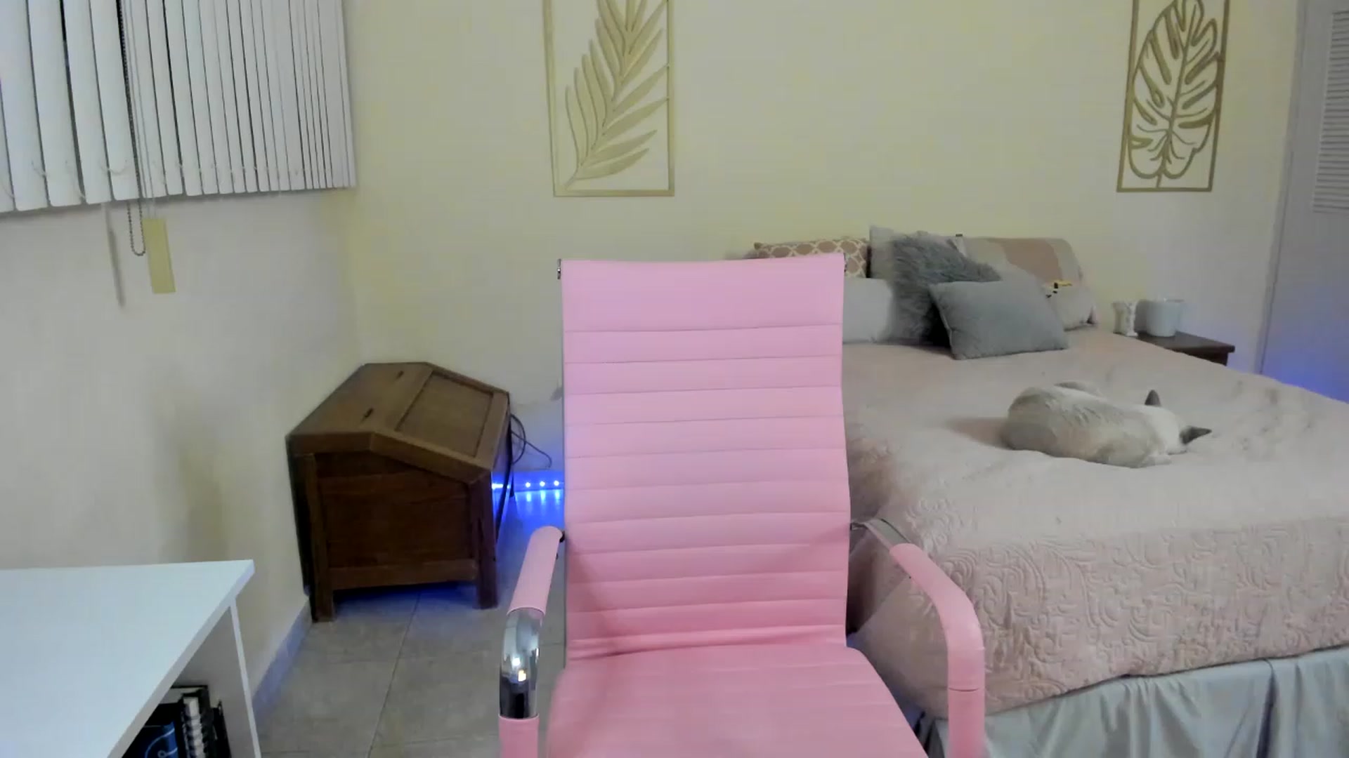 Gallery image thumbnail from NancyyB's myfreecams stream on, 01/04/2023, 04:03 image 7 of 20