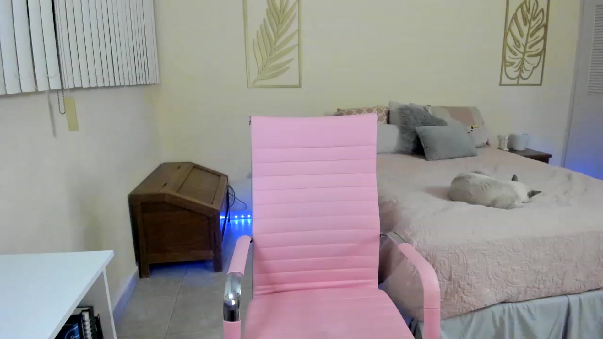 Gallery image thumbnail from NancyyB's myfreecams stream on, 01/04/2023, 04:03 image 5 of 20
