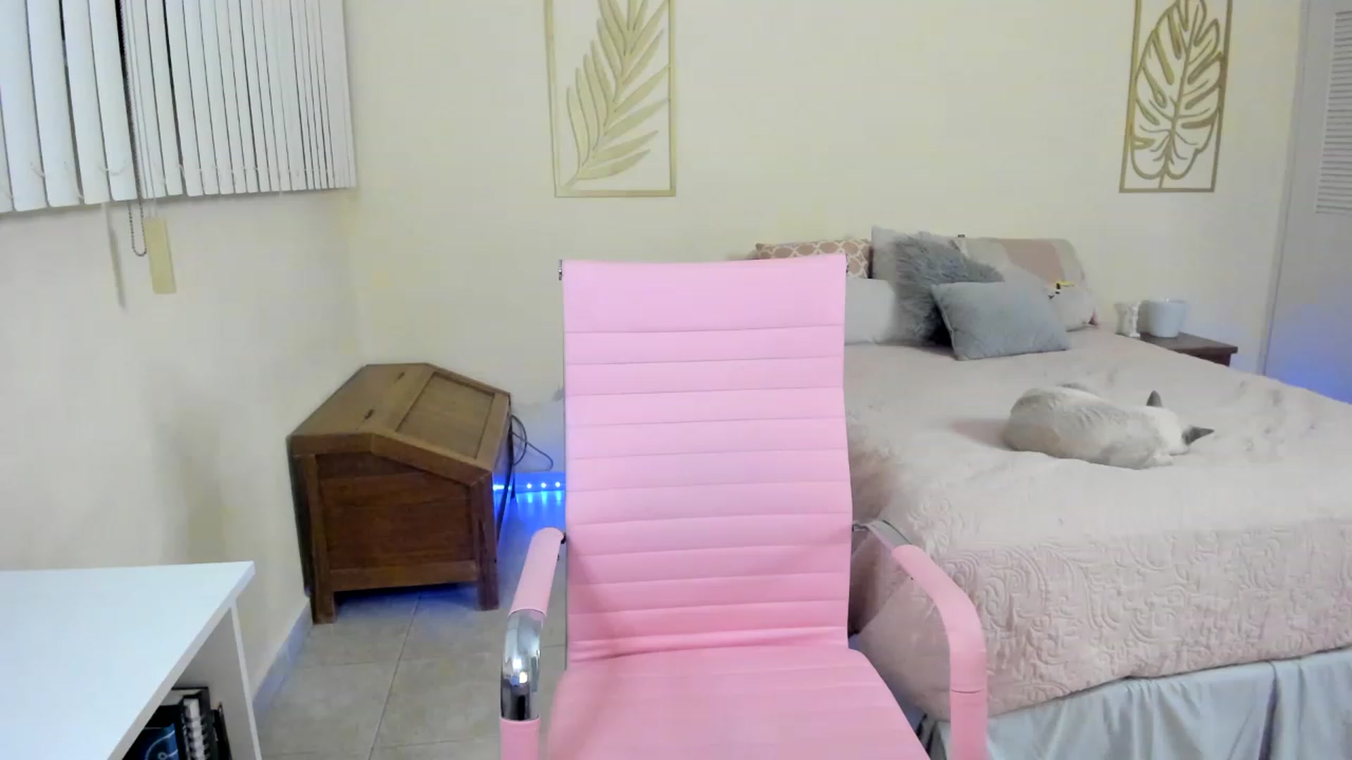 Gallery image thumbnail from NancyyB's myfreecams stream on, 01/04/2023, 04:03 image 6 of 20