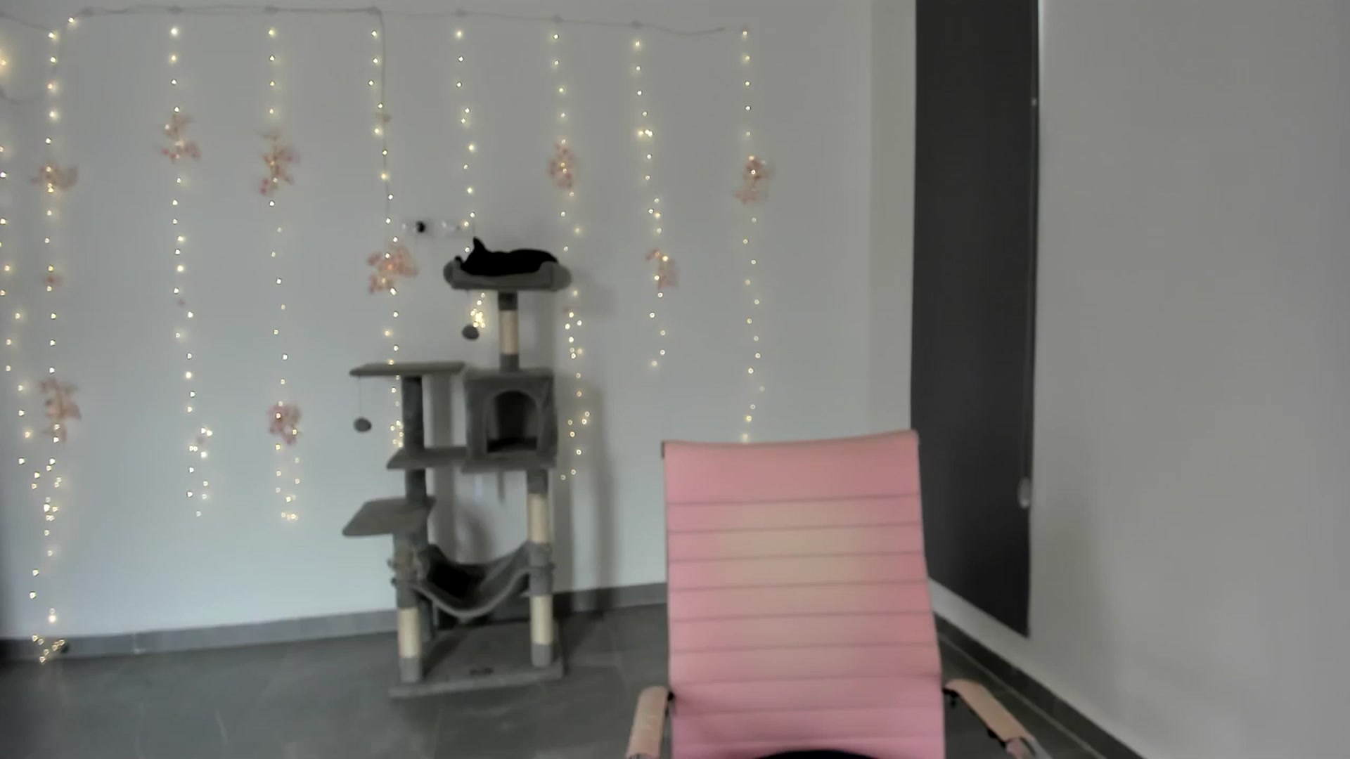 Gallery image thumbnail from NancyyB's myfreecams stream on, 05/14/2024, 20:56 image 12 of 20