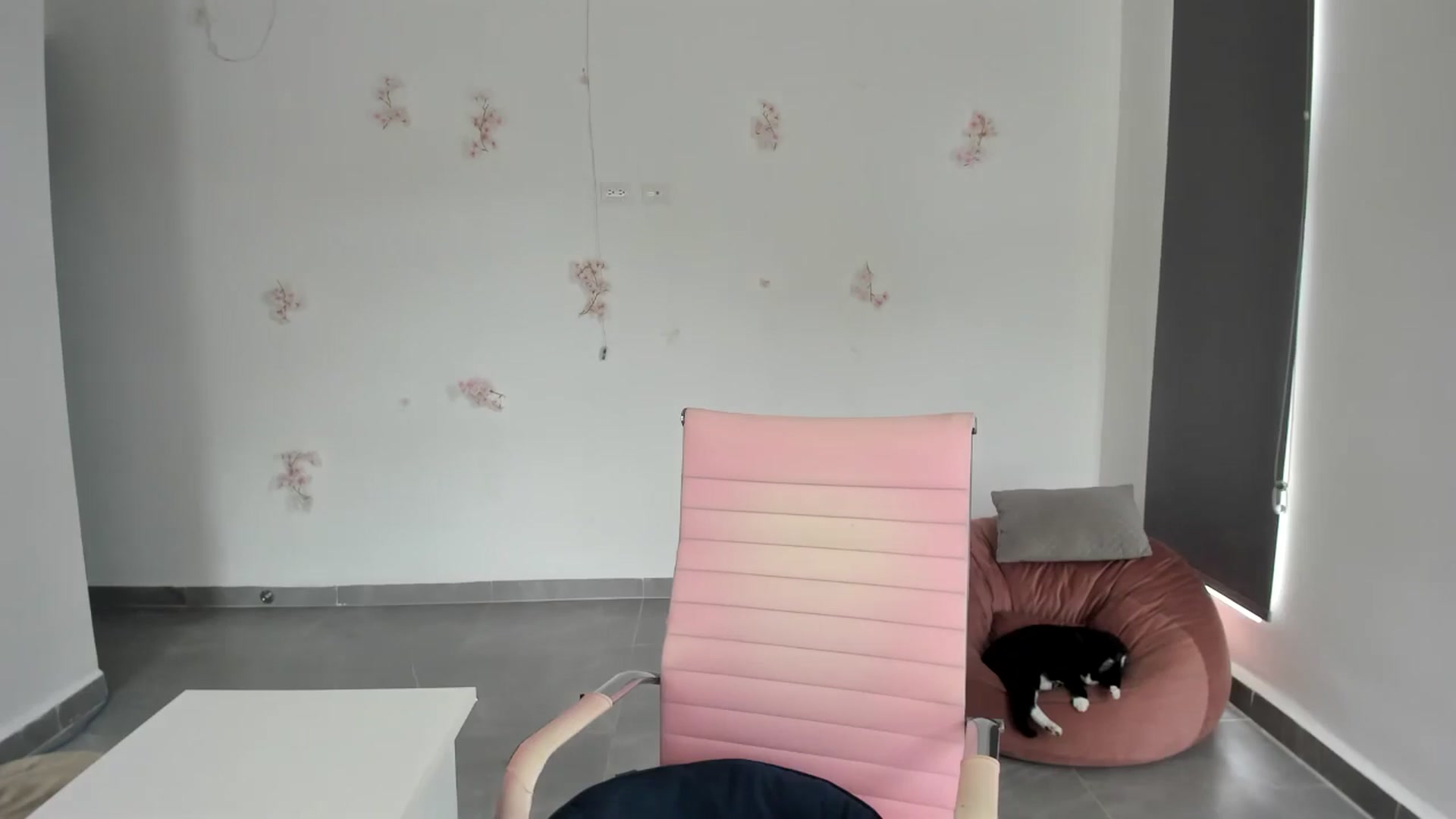 Gallery image thumbnail from NancyyB's myfreecams stream on, 07/08/2024, 16:23 image 12 of 20