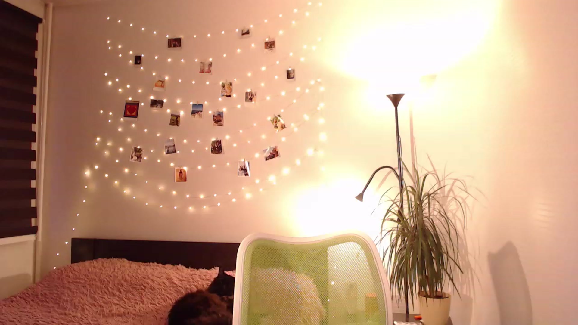 Gallery image thumbnail from Nansyfox1's myfreecams stream on, 01/02/2023, 14:23 image 9 of 20