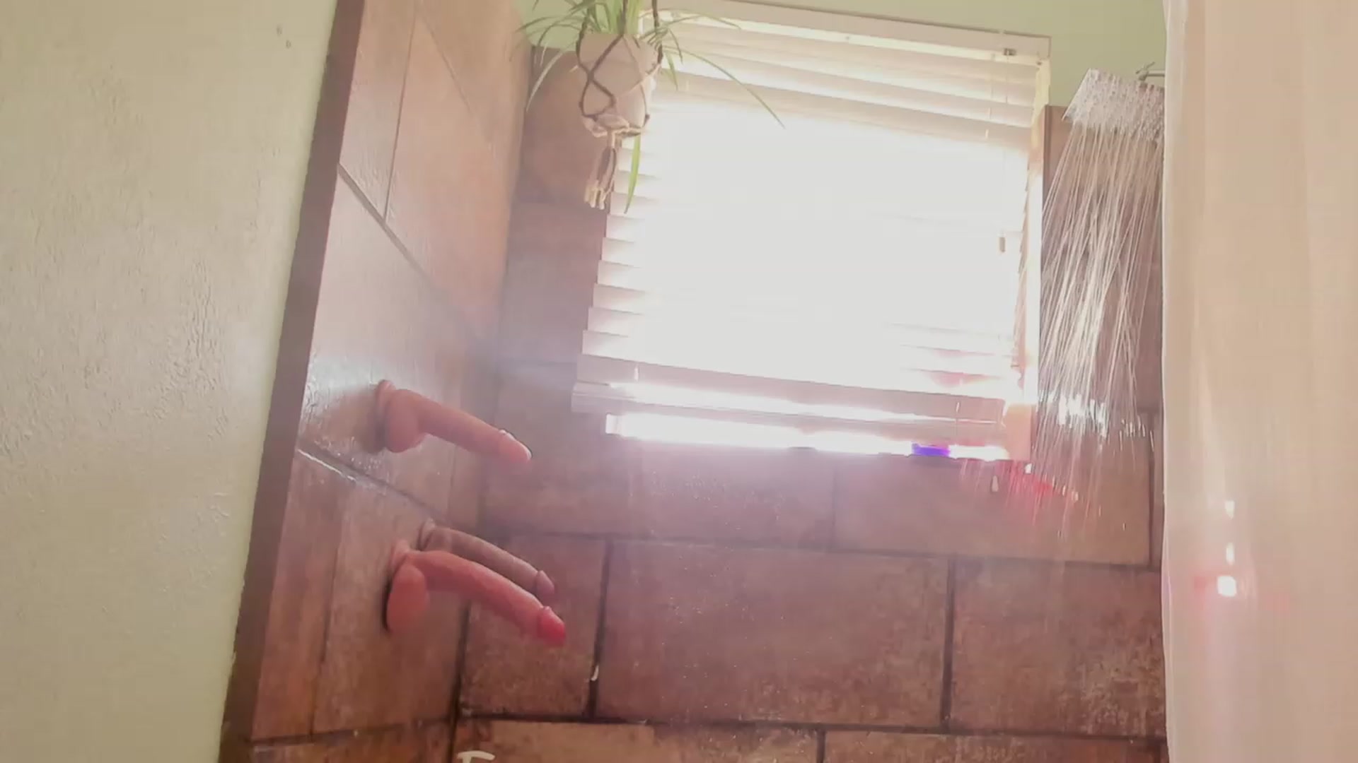 Gallery image thumbnail from NaomiDee's myfreecams stream on, 06/24/2023, 14:55 image 5 of 20