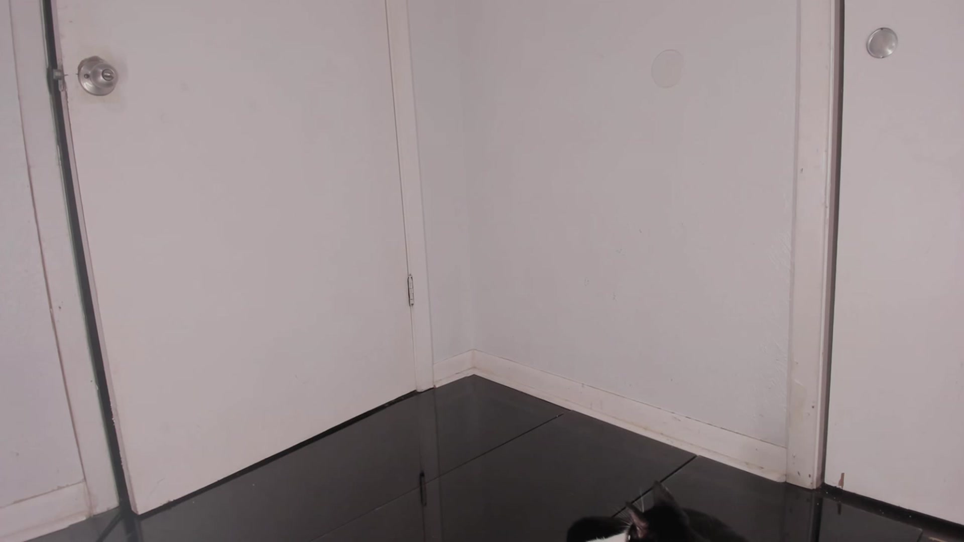 Gallery image thumbnail from NaomiDee's myfreecams stream on, 07/13/2023, 09:47 image 6 of 20