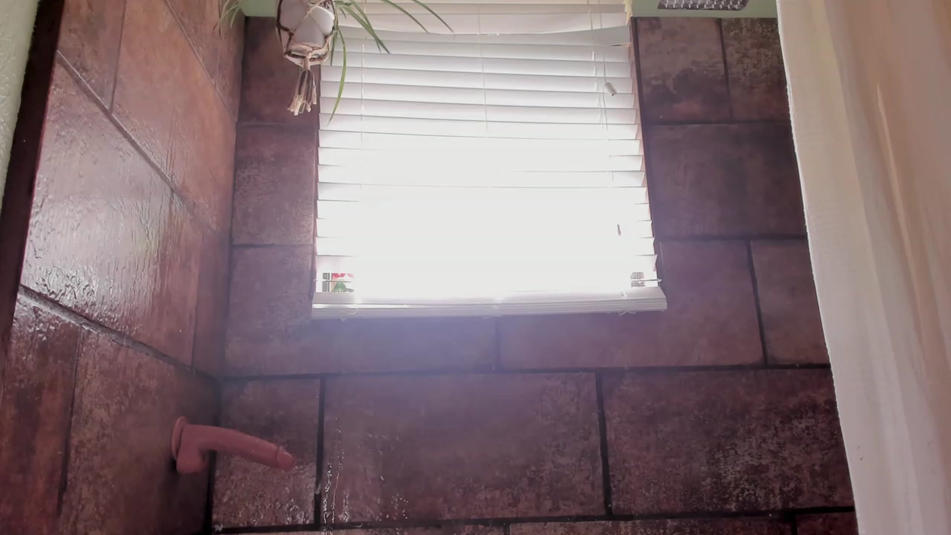 Gallery image thumbnail from NaomiDee's myfreecams stream on, 07/13/2023, 14:46 image 16 of 20