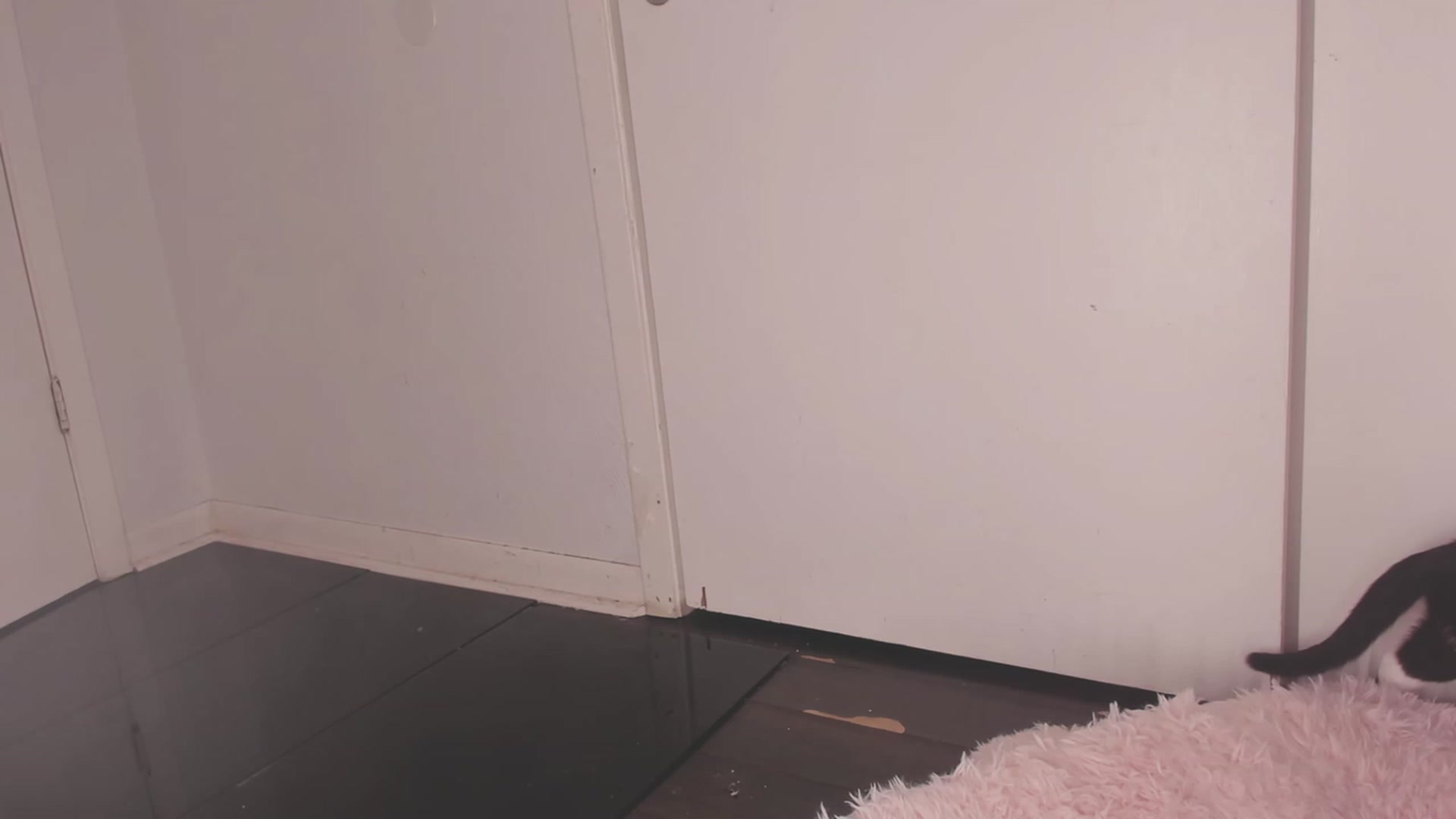 Gallery image thumbnail from NaomiDee's myfreecams stream on, 08/04/2023, 10:50 image 7 of 20