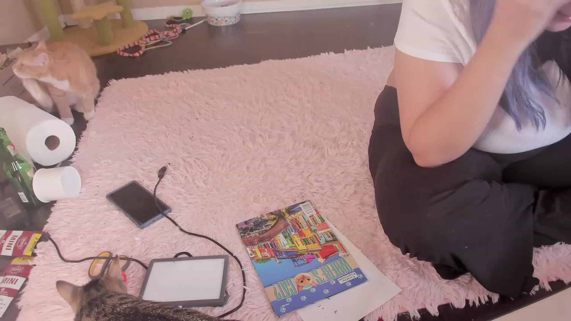 Gallery image thumbnail from NaomiDee's myfreecams stream on, 08/10/2023, 23:20 image 13 of 20