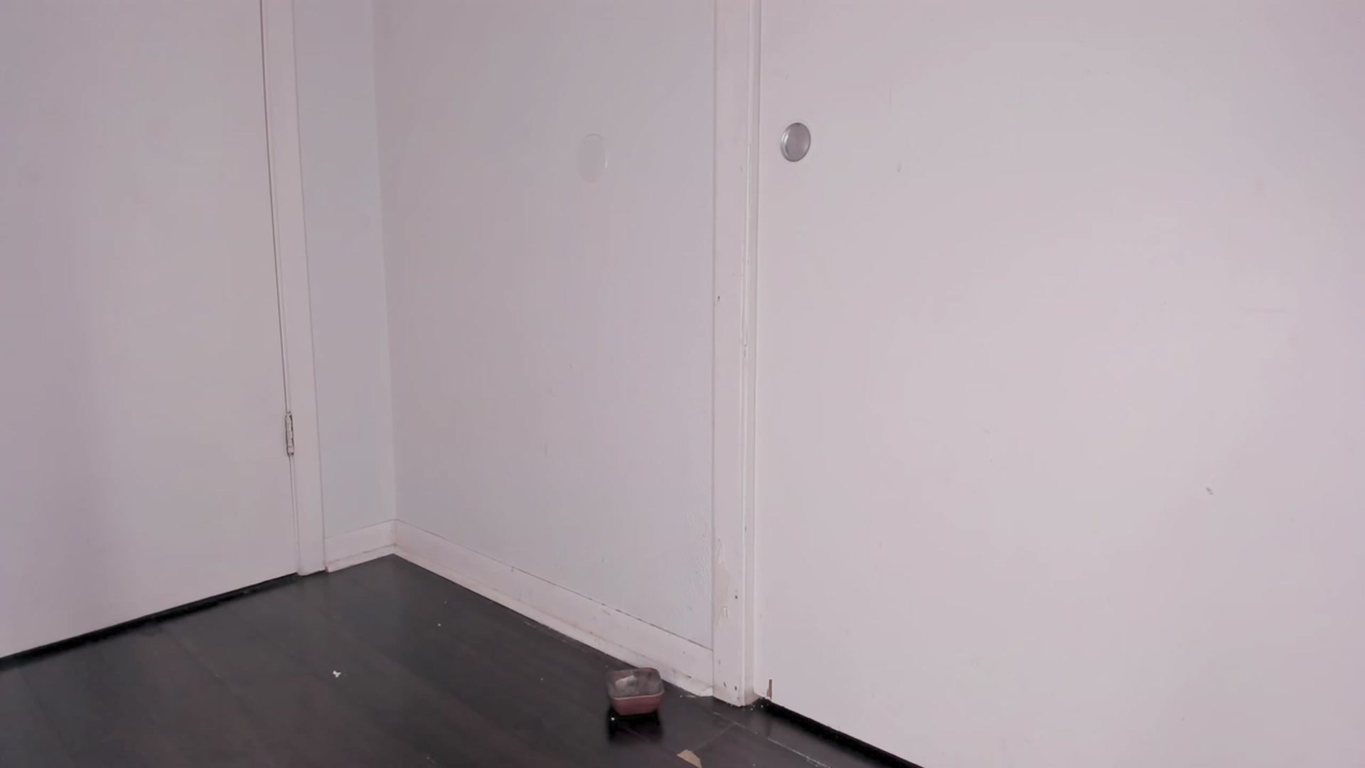 Gallery image thumbnail from NaomiDee's myfreecams stream on, 08/26/2023, 05:05 image 10 of 20
