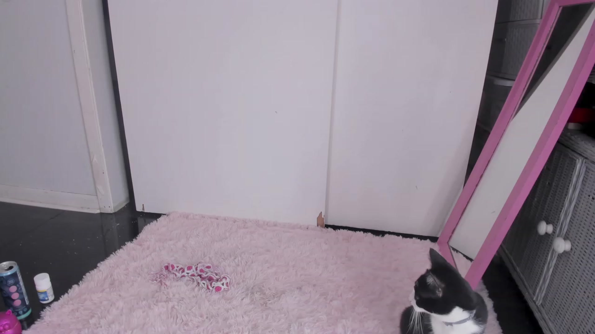 Gallery image thumbnail from NaomiDee's myfreecams stream on, 09/16/2023, 22:21 image 4 of 20