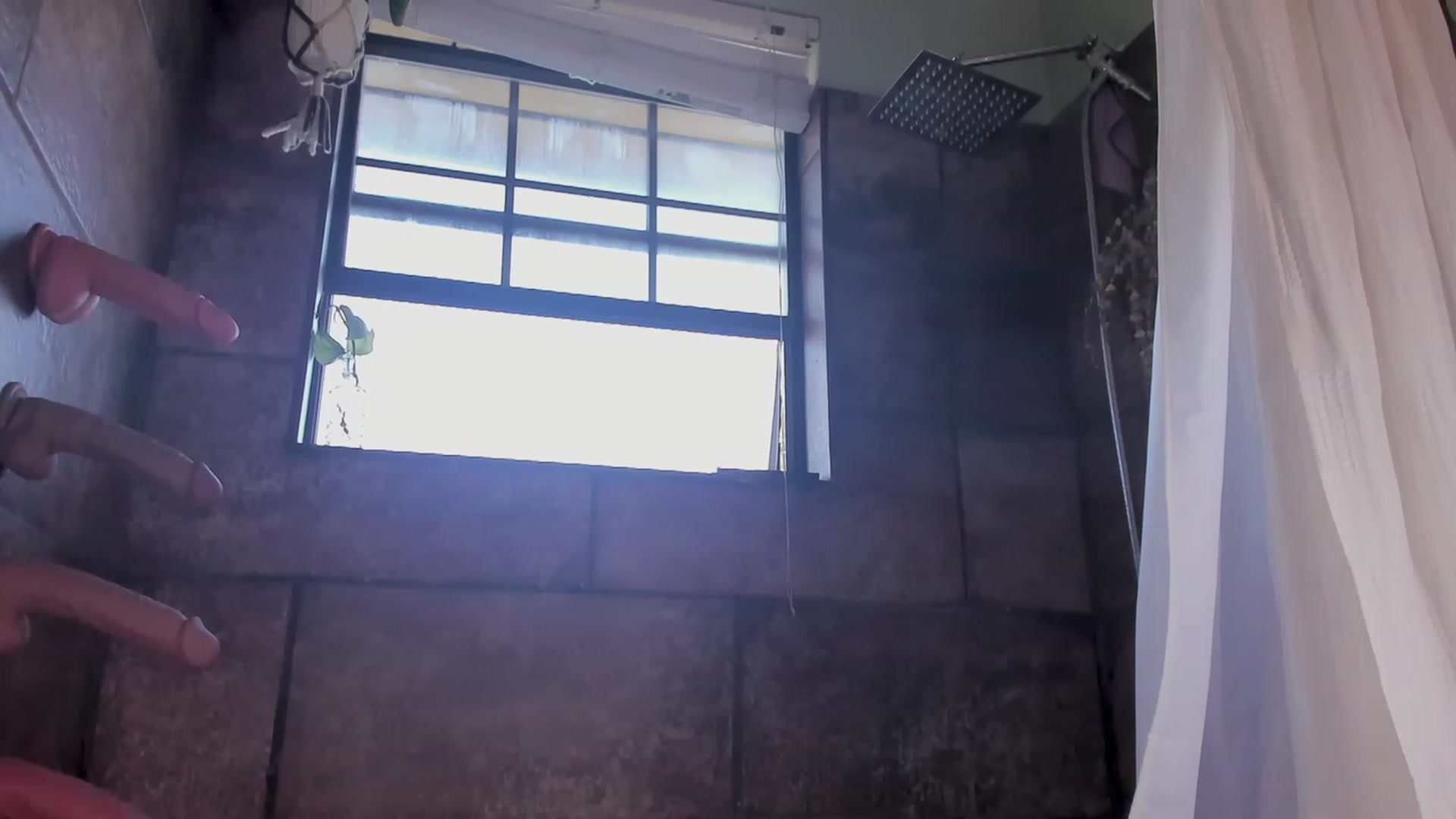 Gallery image thumbnail from NaomiDee's myfreecams stream on, 09/24/2023, 23:20 image 4 of 20