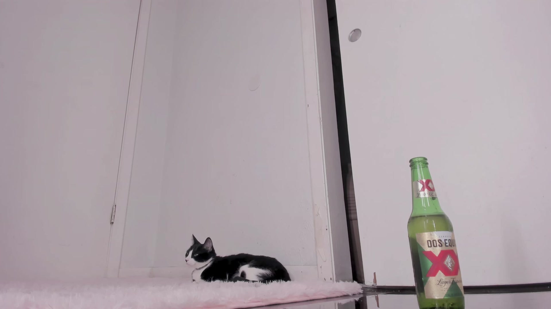 Gallery image thumbnail from NaomiDee's myfreecams stream on, 09/26/2023, 04:06 image 13 of 20