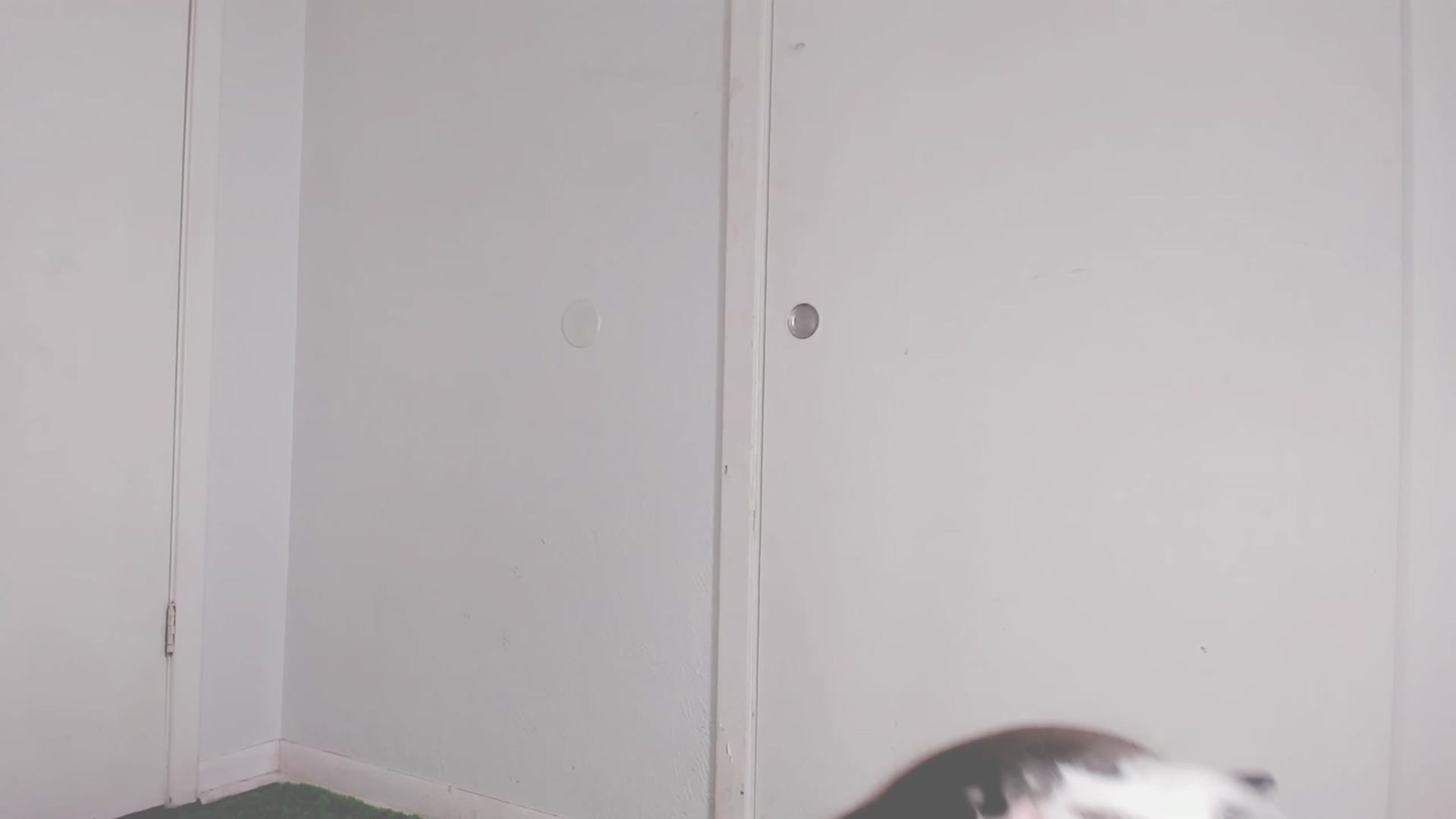 Gallery image thumbnail from NaomiDee's myfreecams stream on, 10/21/2023, 21:02 image 3 of 20