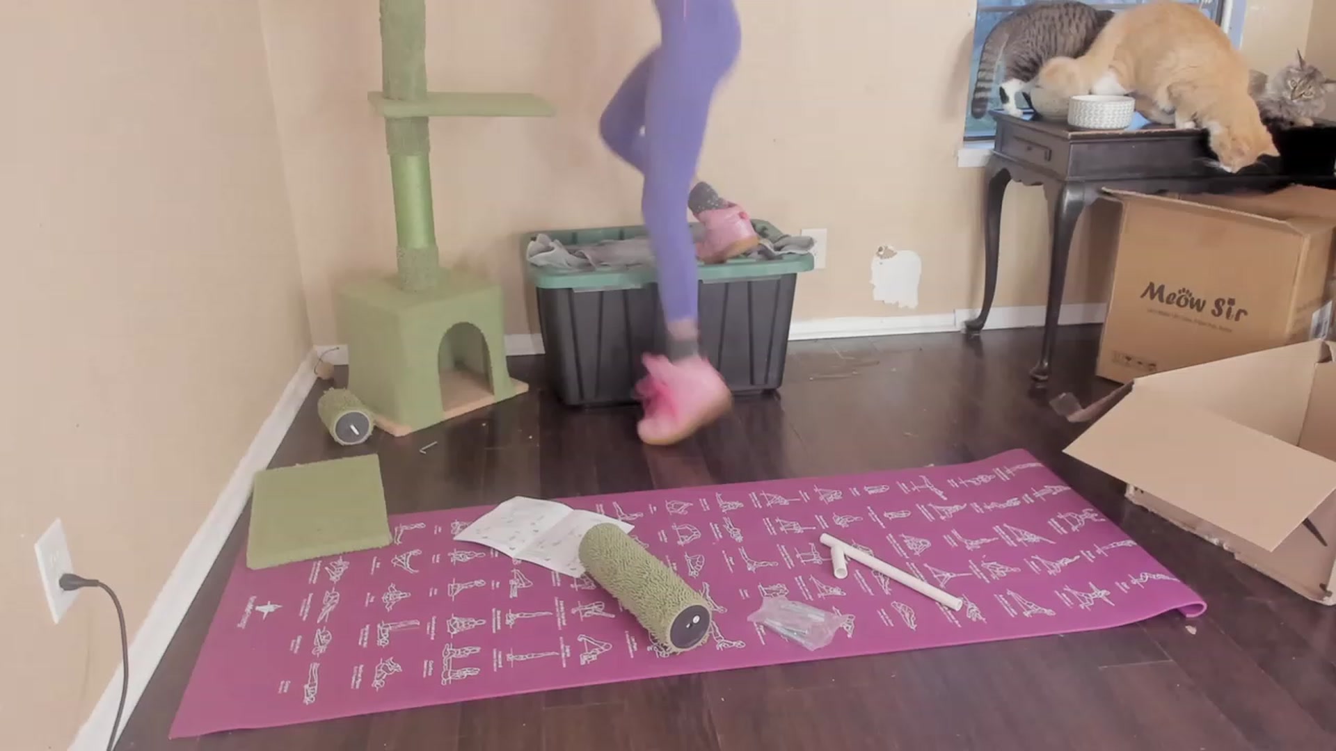 Gallery image thumbnail from NaomiDee's myfreecams stream on, 11/09/2023, 23:59 image 11 of 20