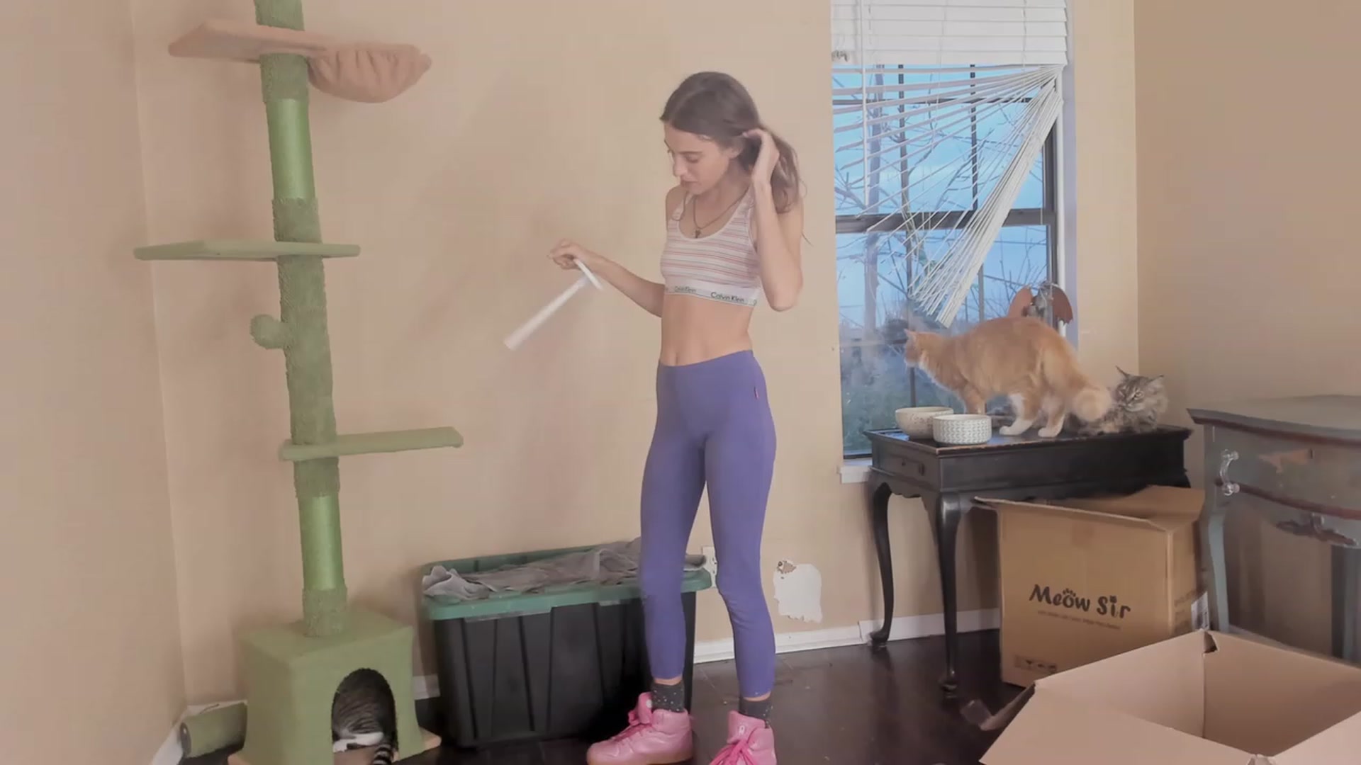 Gallery image thumbnail from NaomiDee's myfreecams stream on, 11/09/2023, 23:59 image 12 of 20