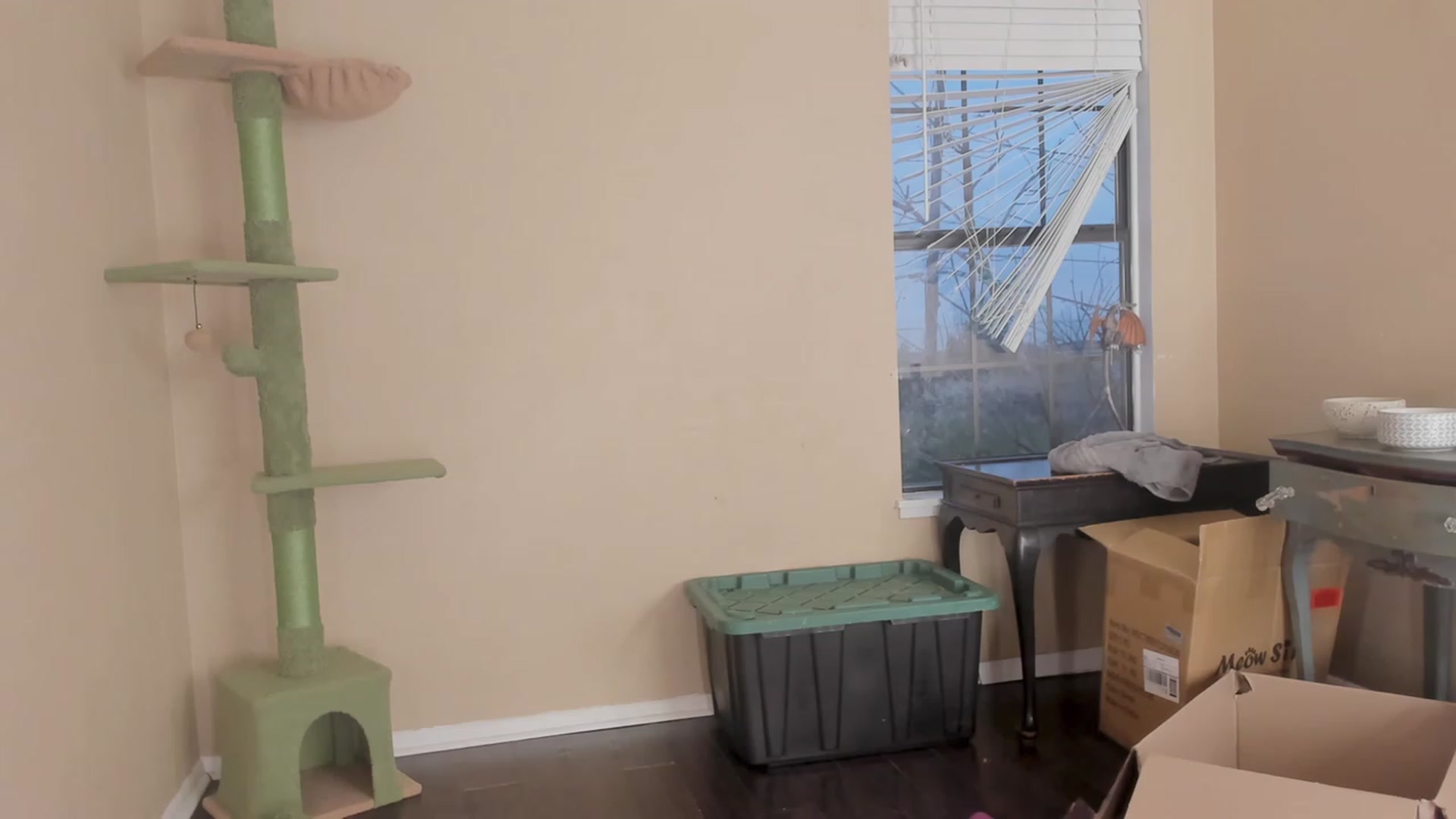 Gallery image thumbnail from NaomiDee's myfreecams stream on, 11/09/2023, 23:59 image 14 of 20