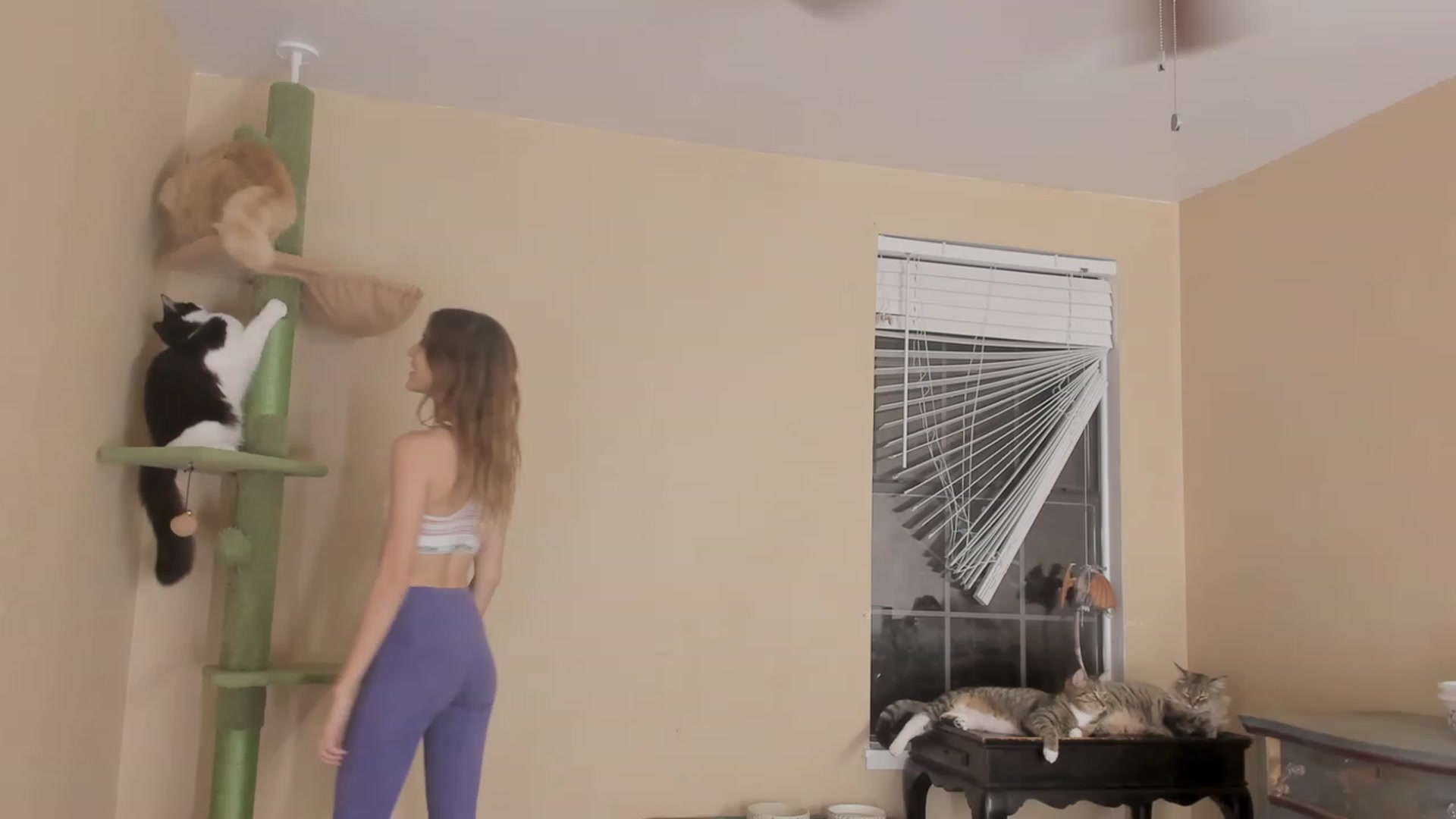 Gallery image thumbnail from NaomiDee's myfreecams stream on, 11/10/2023, 02:01 image 5 of 20