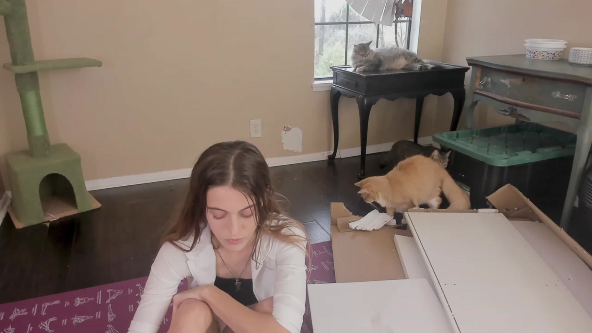 Gallery image thumbnail from NaomiDee's myfreecams stream on, 11/10/2023, 21:12 image 15 of 20
