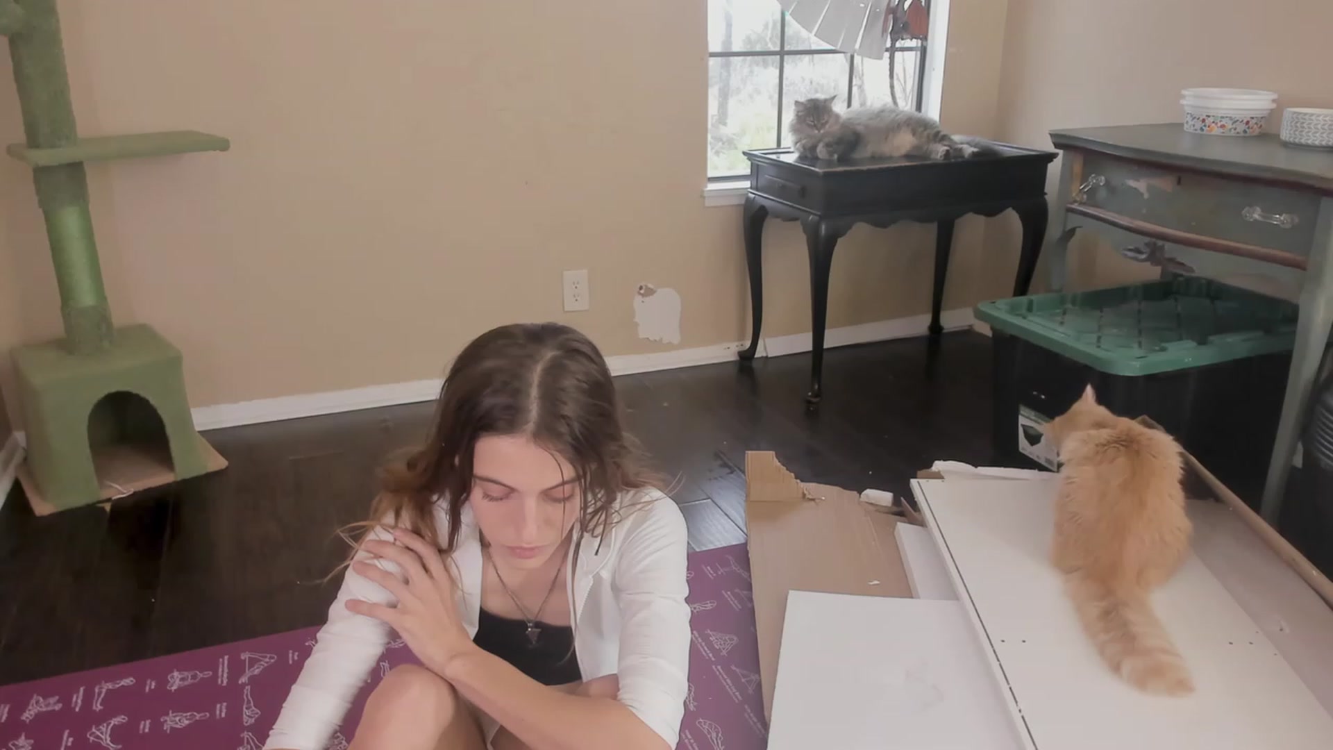 Gallery image thumbnail from NaomiDee's myfreecams stream on, 11/10/2023, 21:12 image 14 of 20