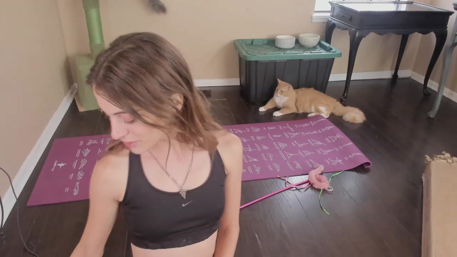 Gallery image thumbnail from NaomiDee's myfreecams stream on, 11/10/2023, 21:12 image 6 of 20