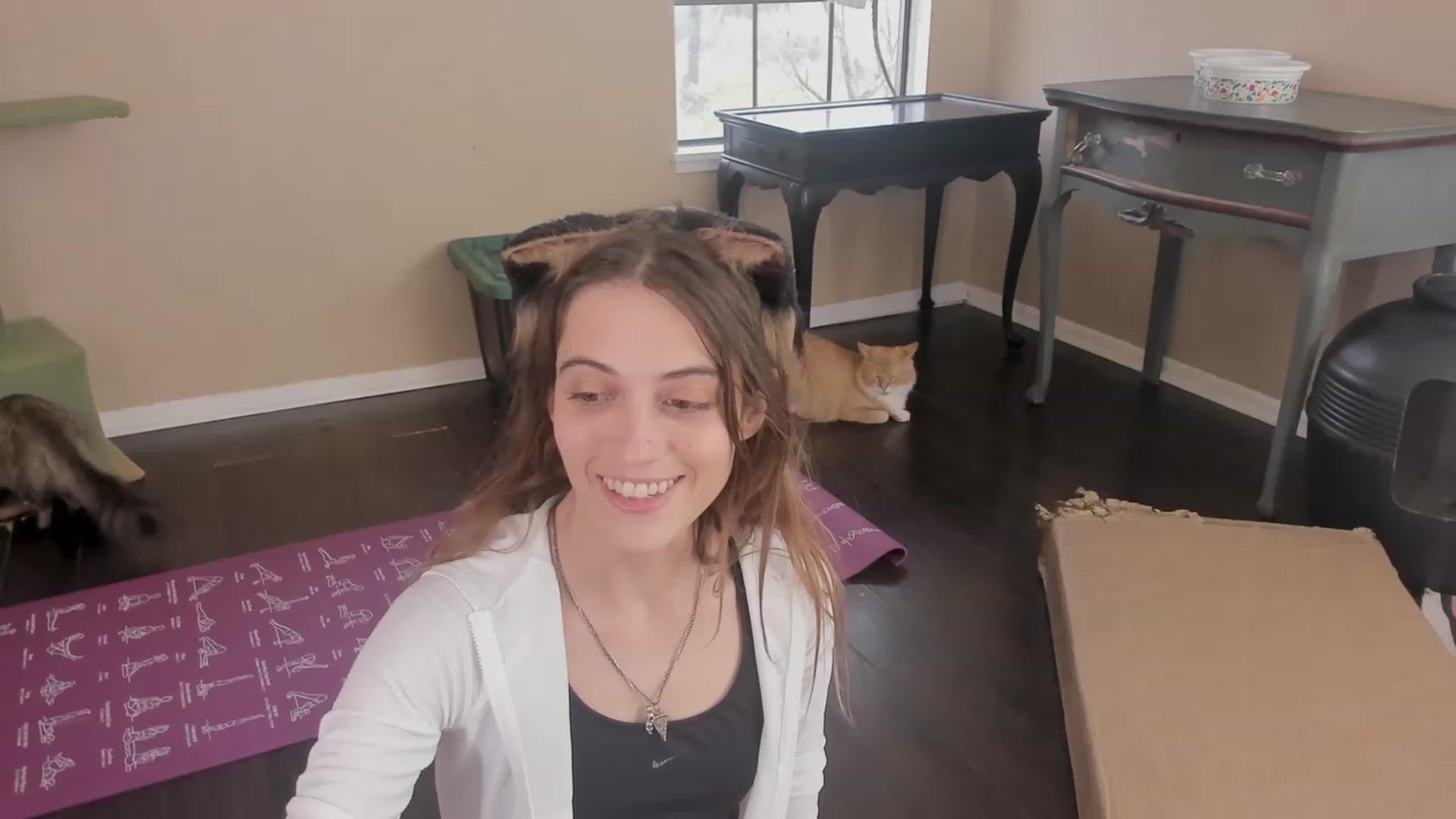 Gallery image thumbnail from NaomiDee's myfreecams stream on, 11/10/2023, 21:12 image 10 of 20