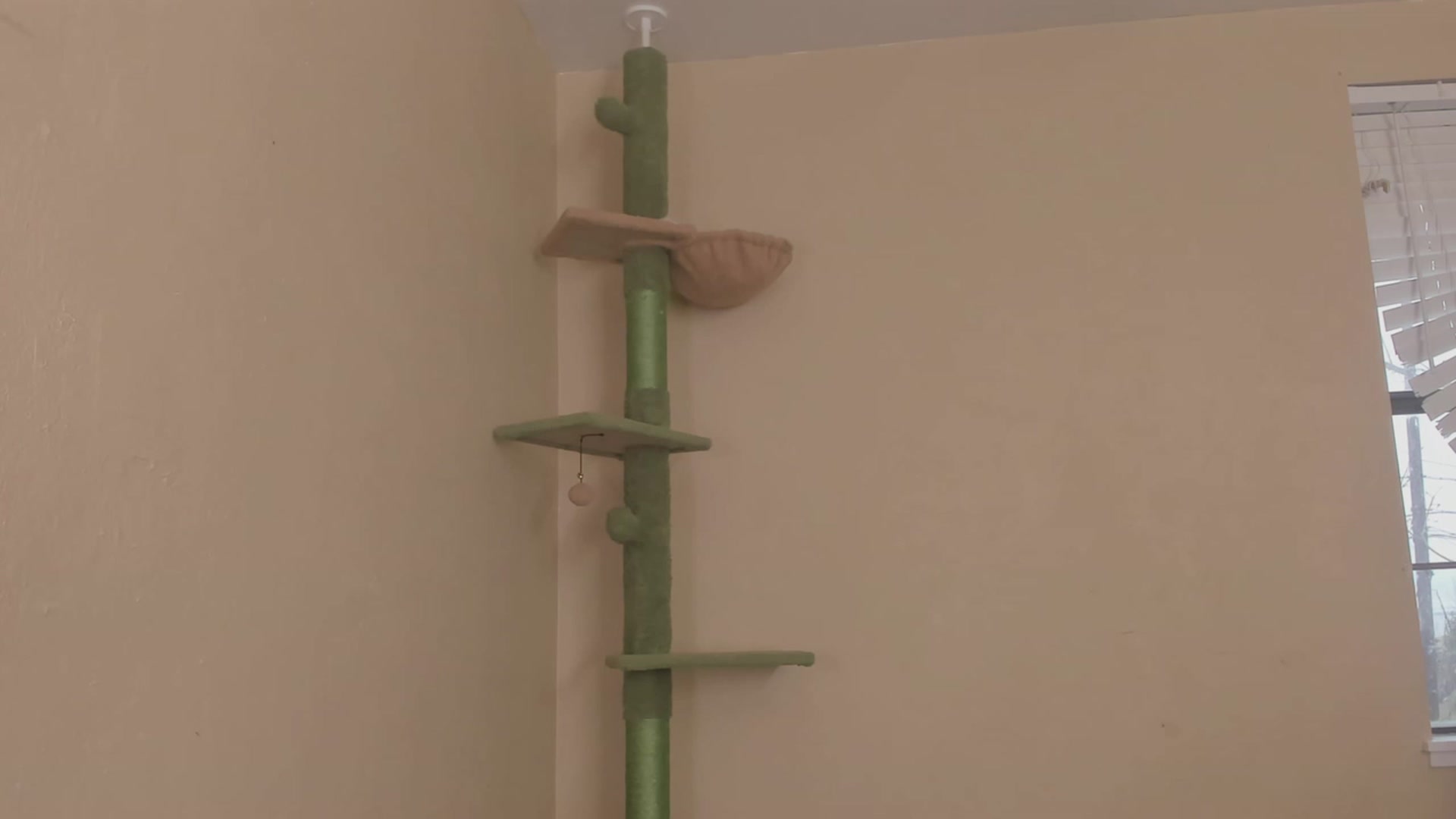 Gallery image thumbnail from NaomiDee's myfreecams stream on, 11/11/2023, 24:10 image 2 of 20