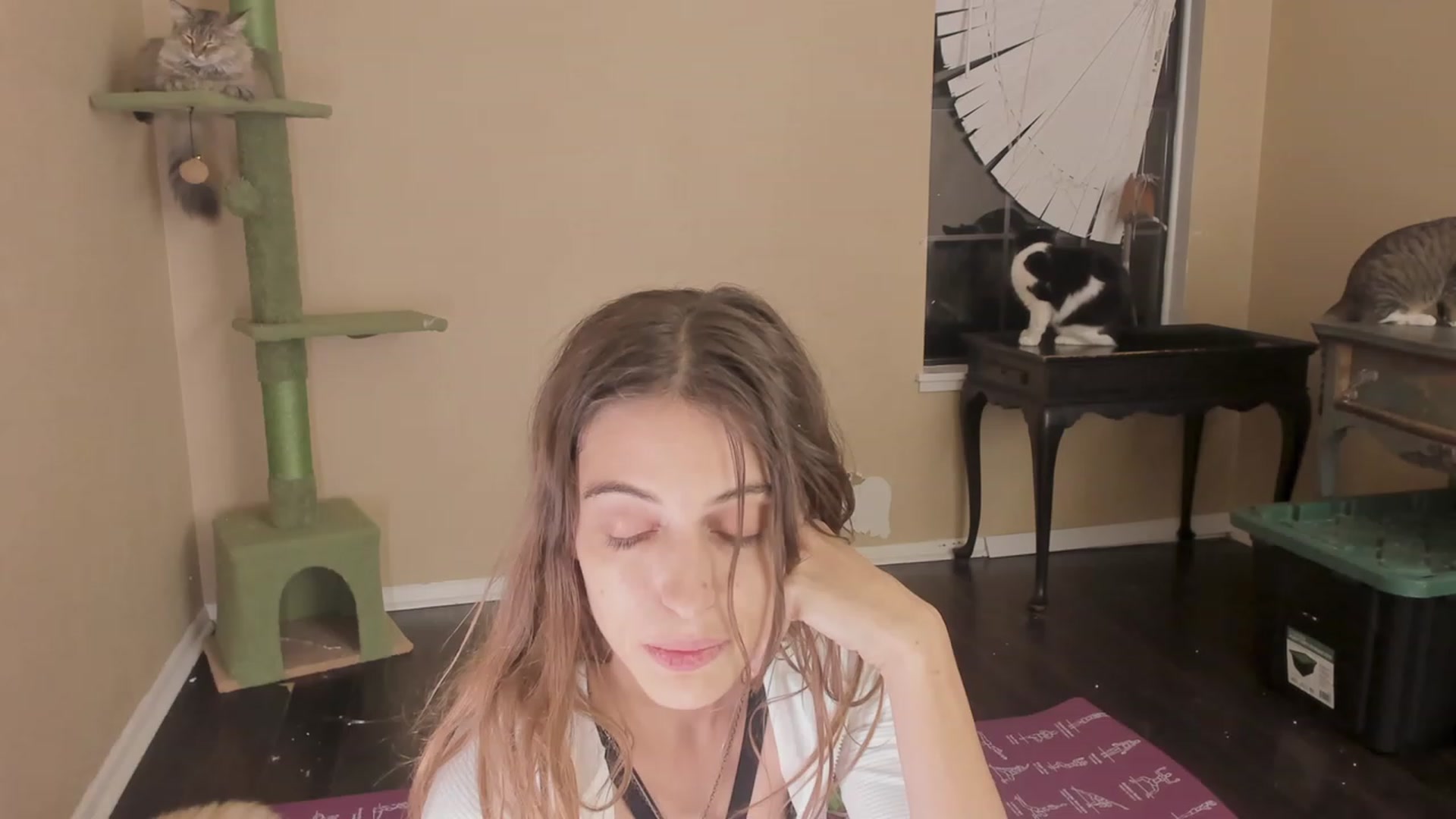 Gallery image thumbnail from NaomiDee's myfreecams stream on, 11/11/2023, 01:13 image 20 of 20