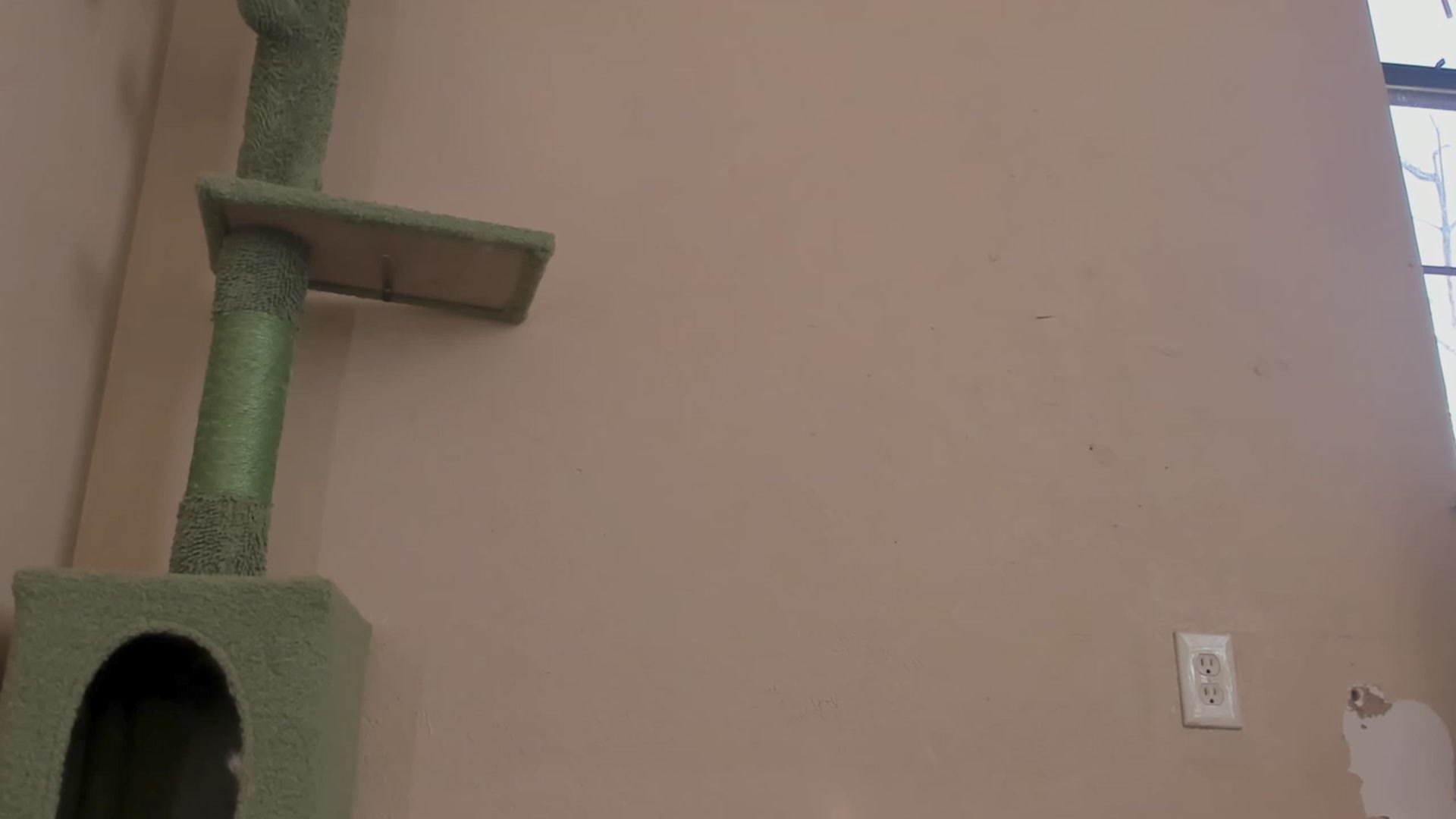 Gallery image thumbnail from NaomiDee's myfreecams stream on, 11/14/2023, 21:36 image 6 of 20