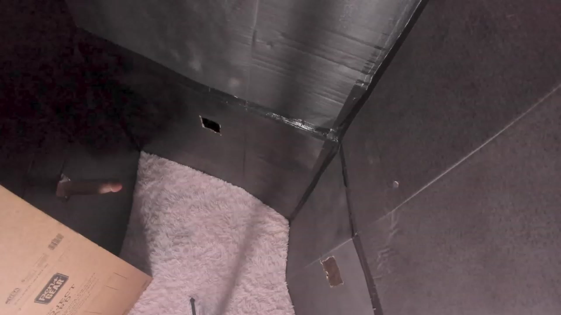 Gallery image thumbnail from NaomiDee's myfreecams stream on, 01/01/2024, 08:44 image 14 of 20