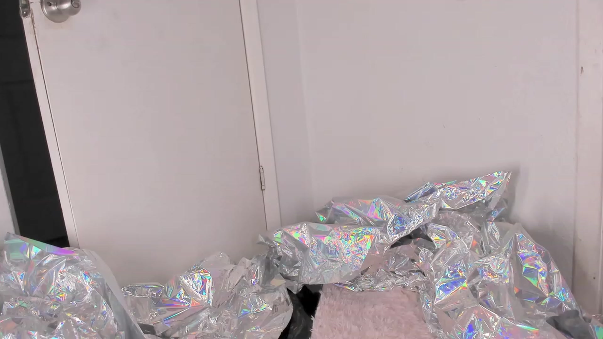 Gallery image thumbnail from NaomiDee's myfreecams stream on, 01/01/2024, 10:36 image 20 of 20