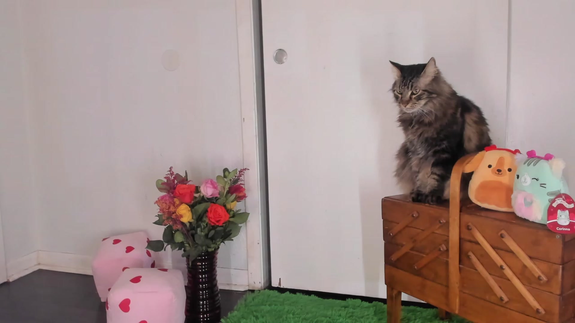 Gallery image thumbnail from NaomiDee's myfreecams stream on, 02/13/2024, 08:13 image 3 of 20