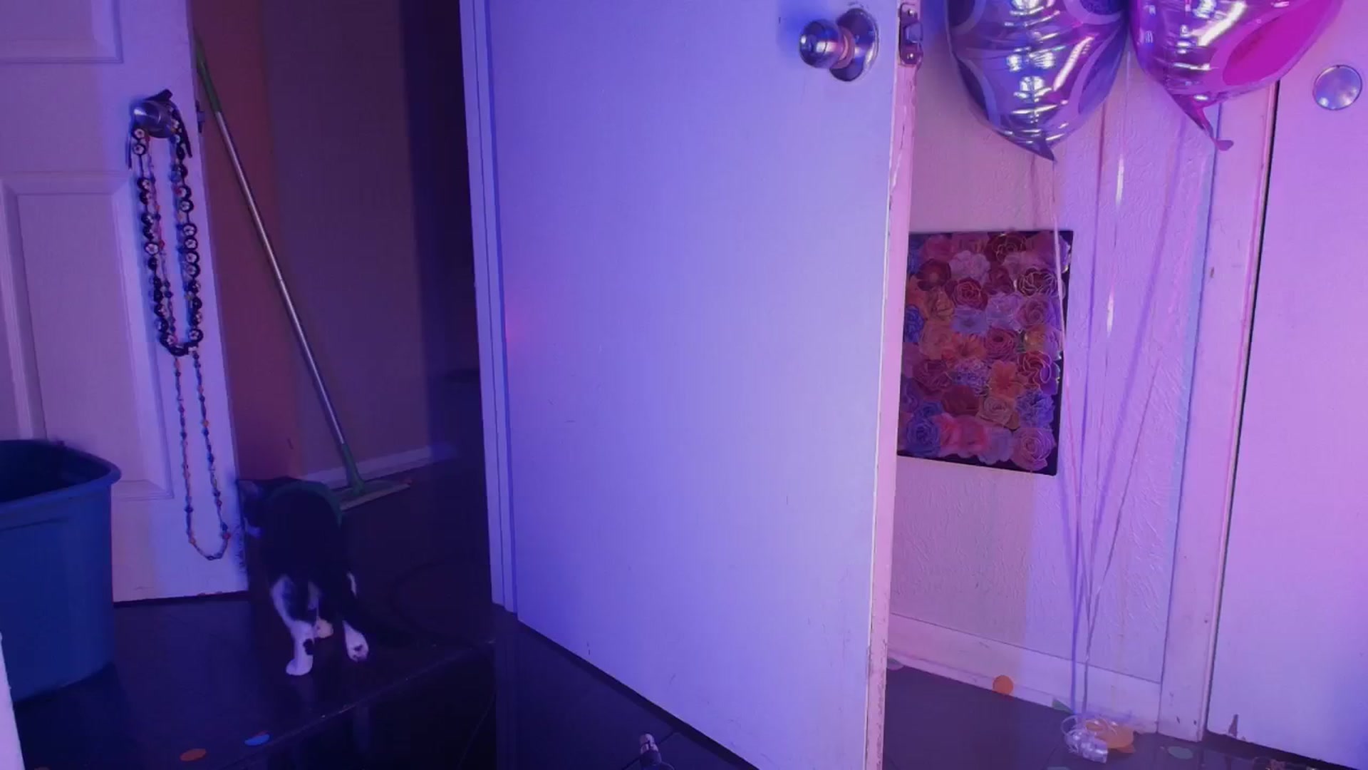 Gallery image thumbnail from NaomiDee's myfreecams stream on, 05/19/2024, 08:24 image 1 of 20