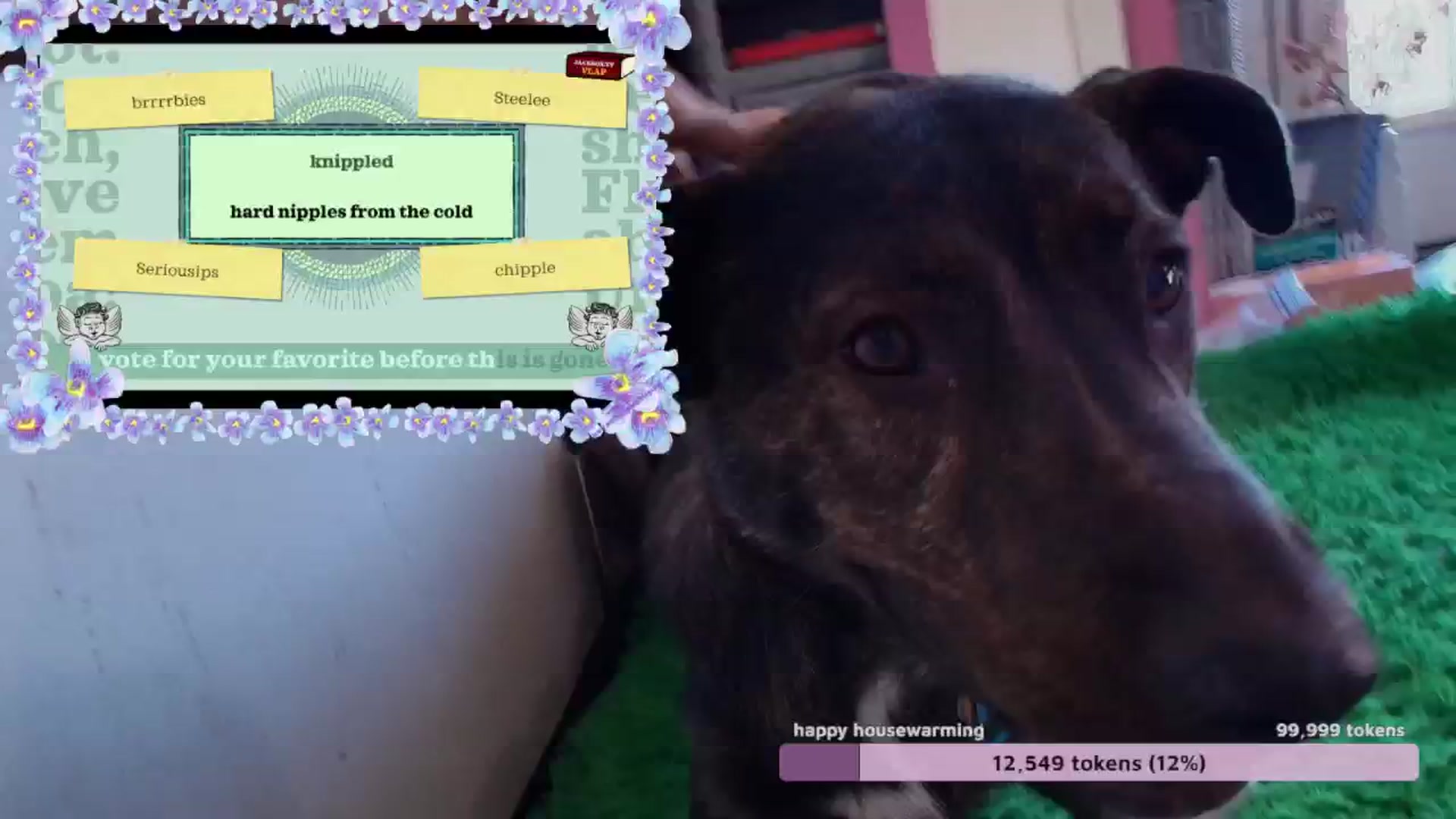 Gallery image thumbnail from NaomiDee's myfreecams stream on, 09/12/2024, 18:57 image 2 of 20